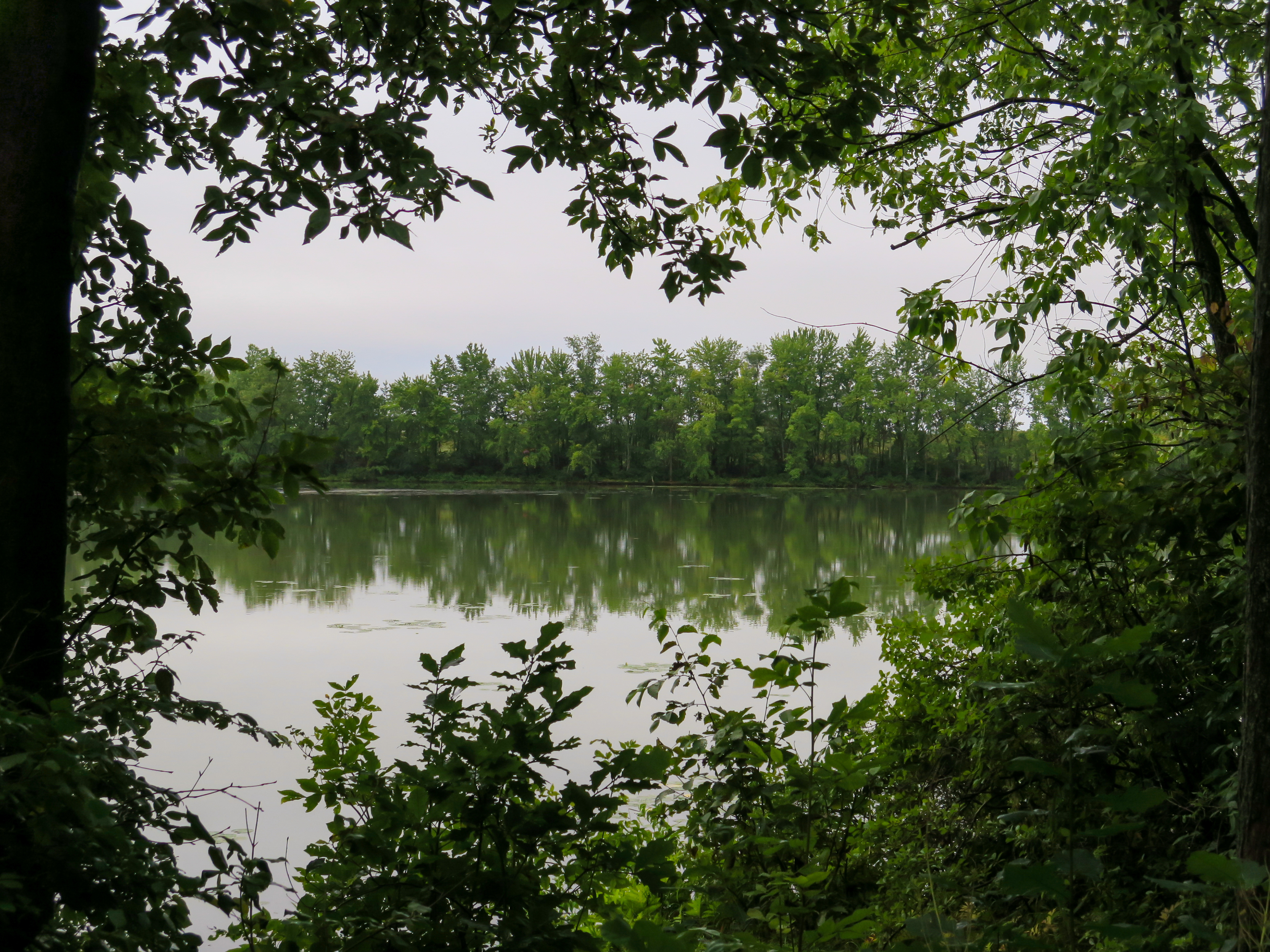 Around the Reflection | (Plaisance, Canada)