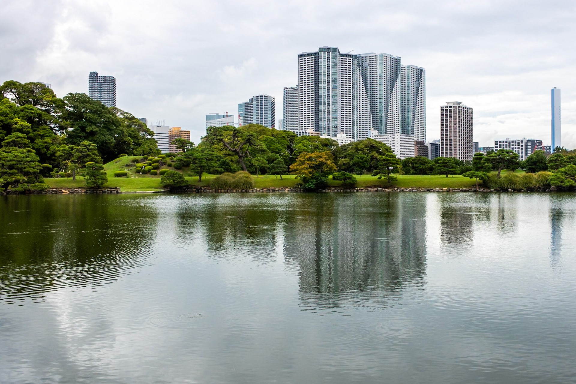 Flip-Side | (Hamarikyu Gardens)