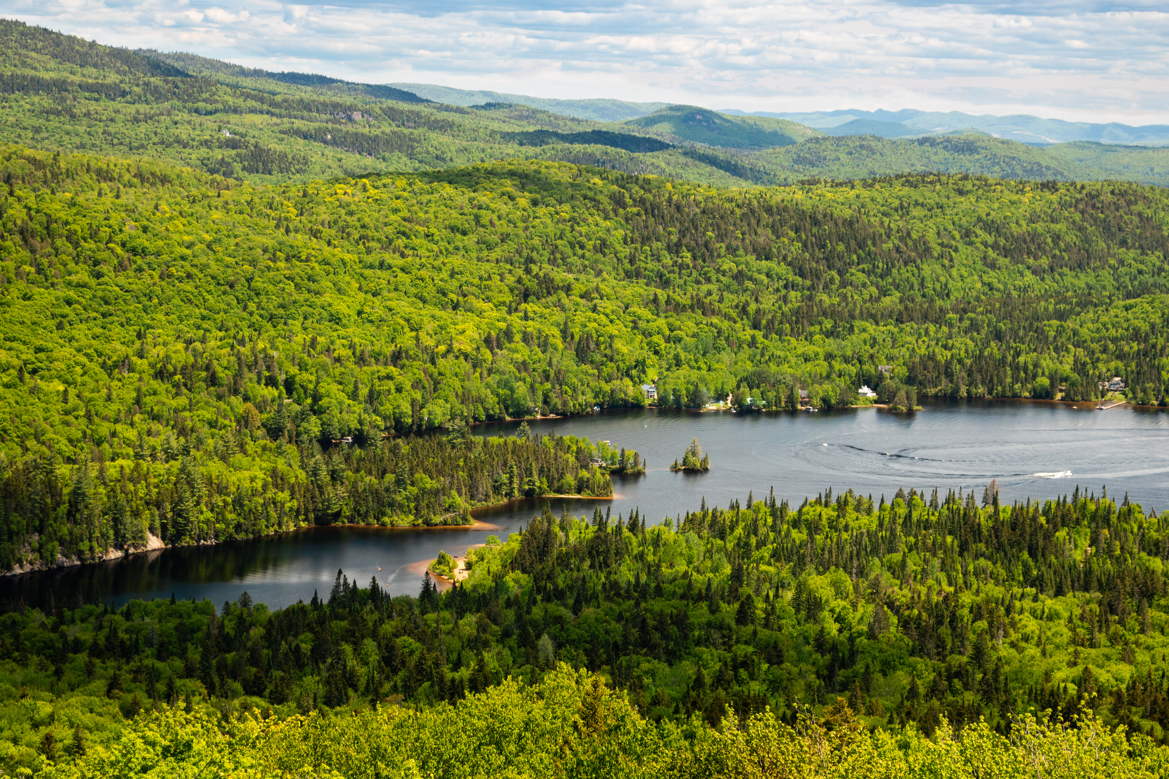 L'Envol | (Parc National du Mont-Tremblant)