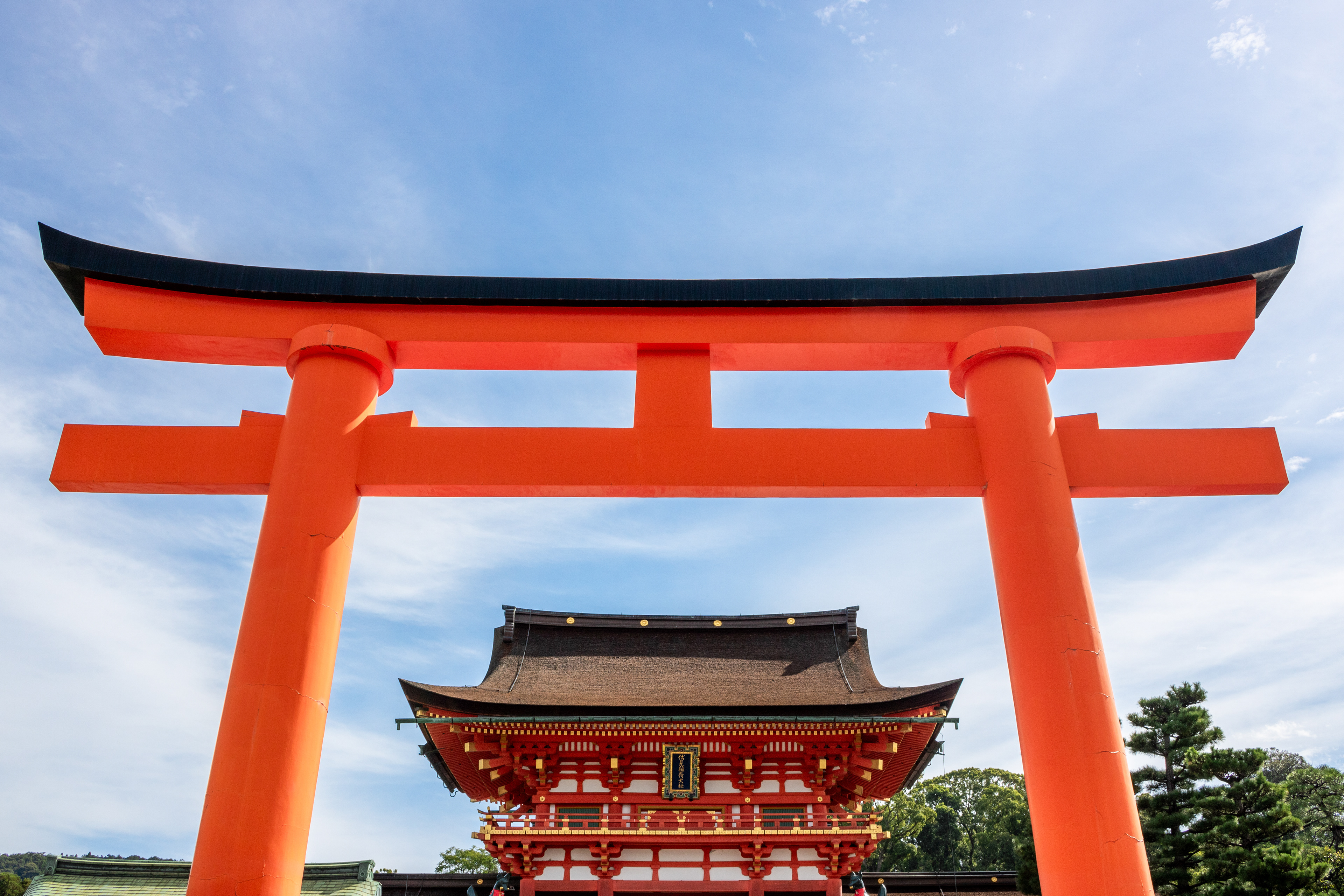 Towering Torii | (Kyoto, Japan)