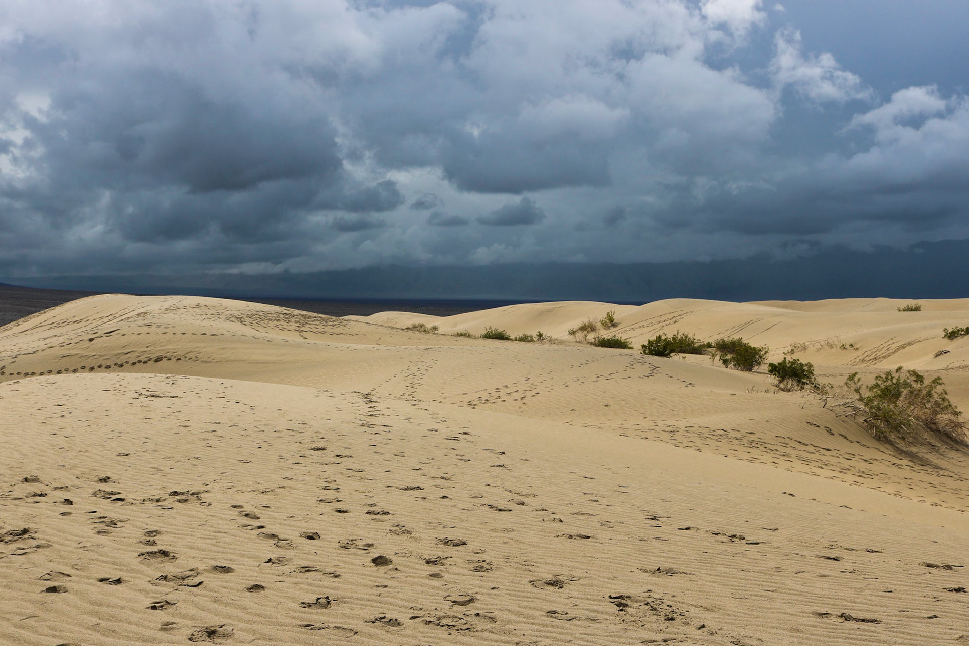 Desert Storm | (Mesquite Flat Sand Dunes)