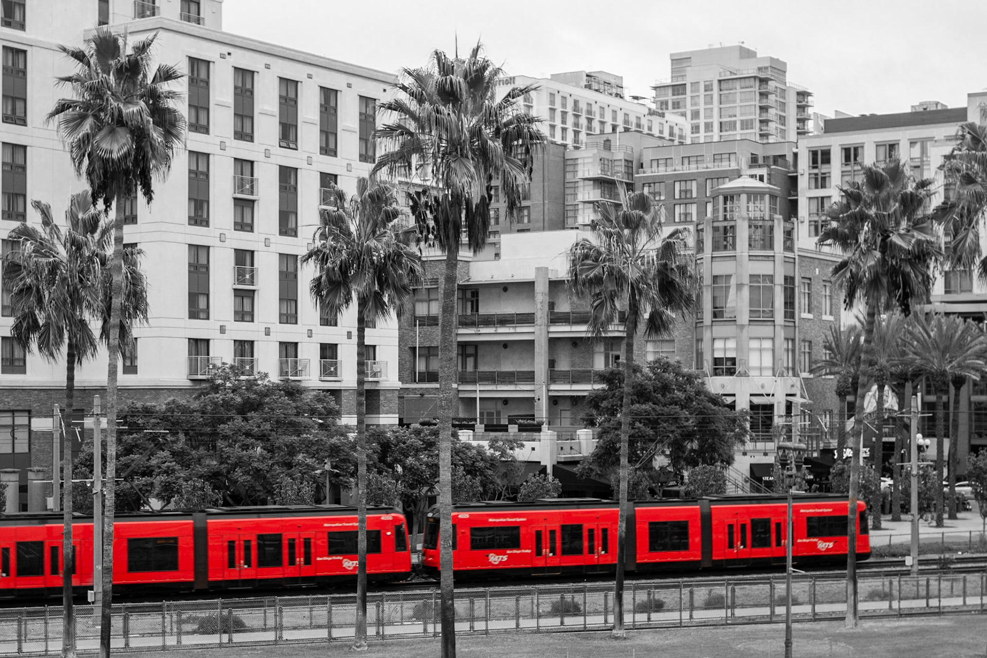 The Trolley | (East Harbor Drive)