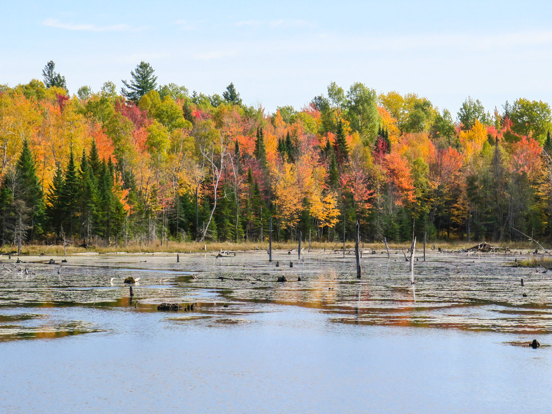 Rainbow Row | (Parc National du Mont-Orford)