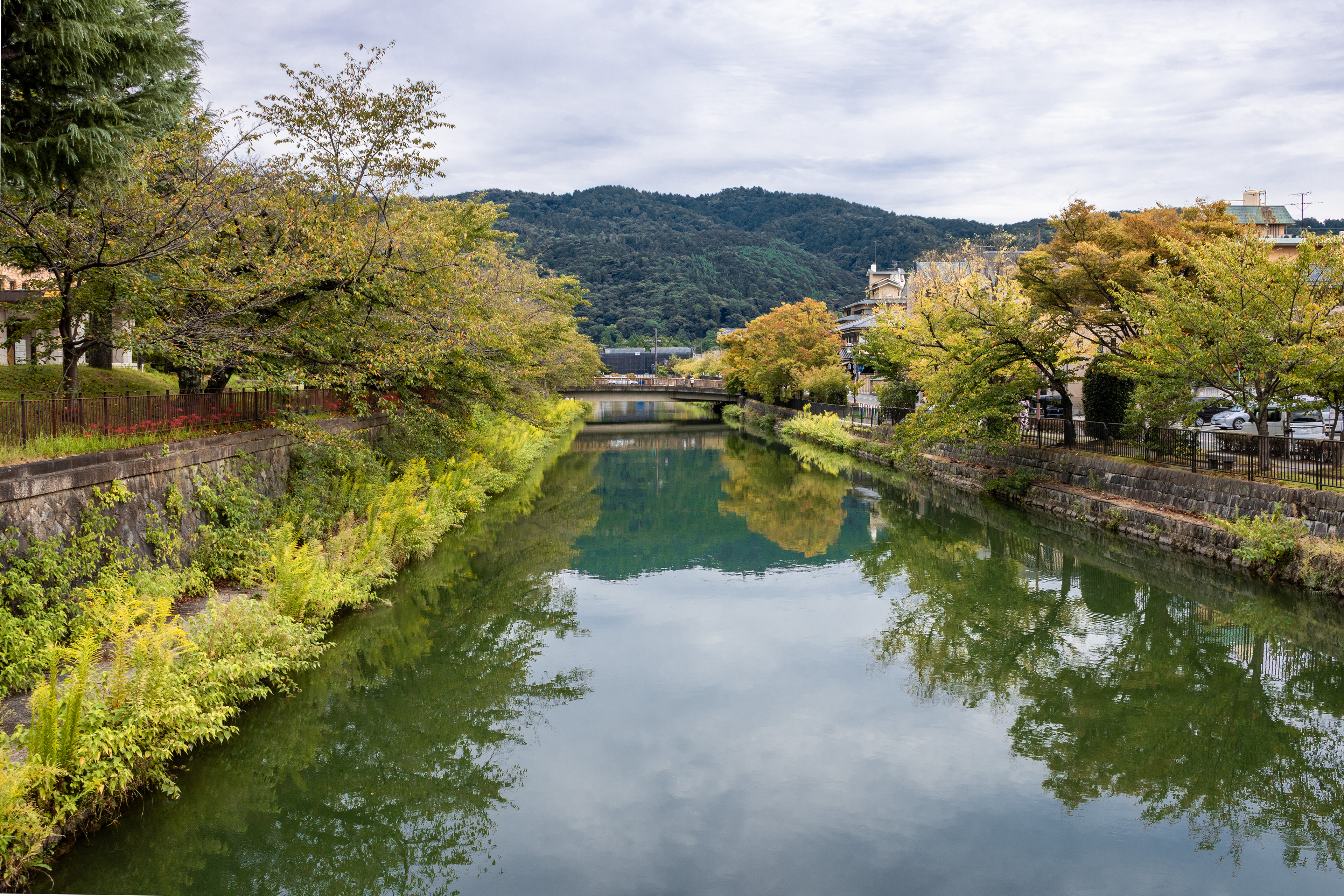 Peaceful Path | (Kyoto, Japan)