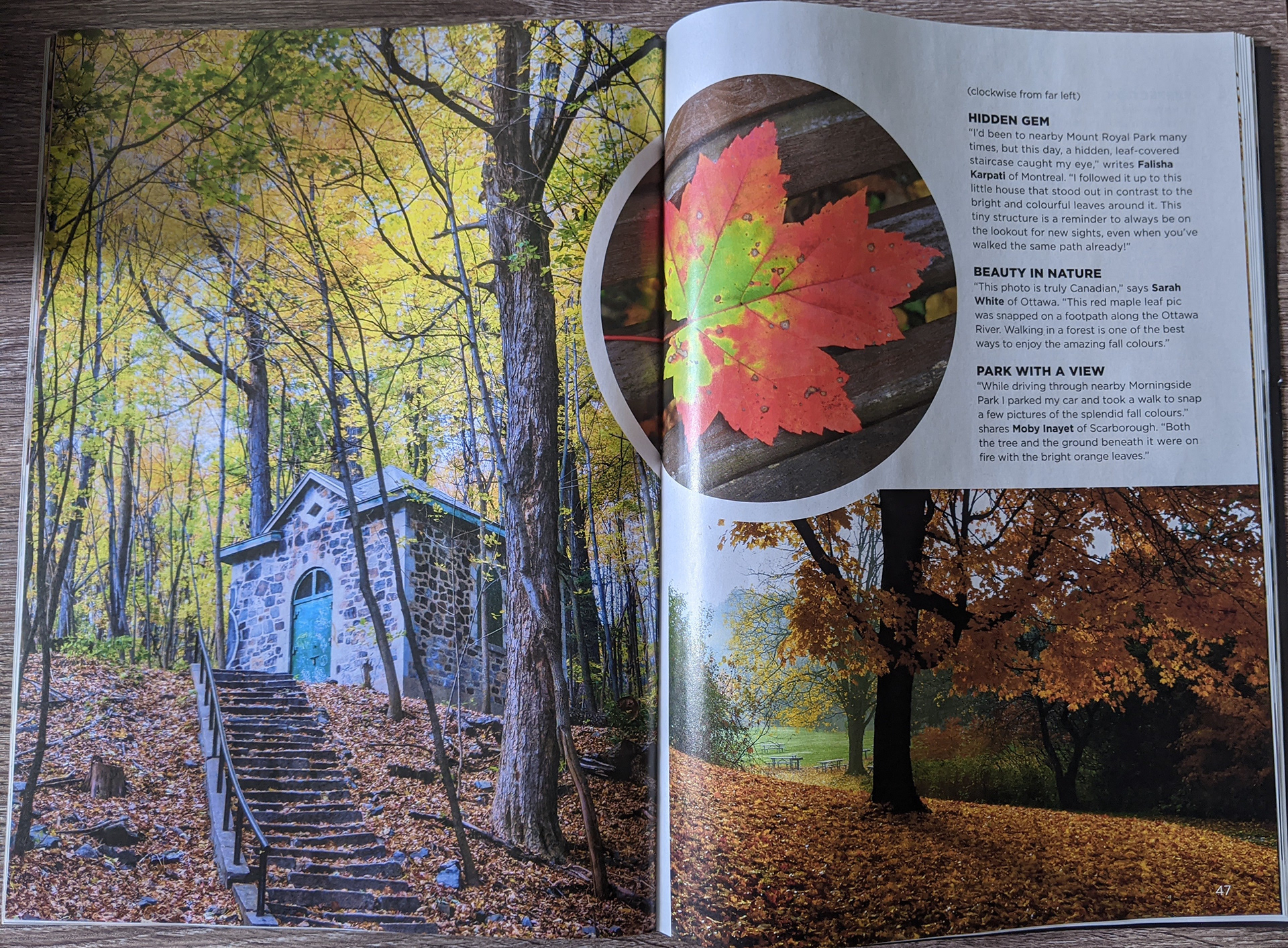 Magazine open to a page with Falisha's photo of a small brick house under trees with yellow and orange leaves on the left page.