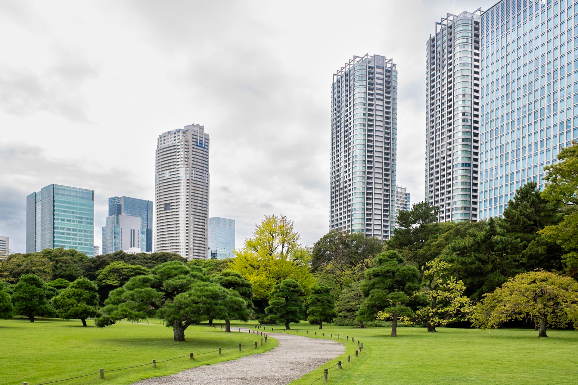 Pristine Path | (Hamarikyu Gardens)