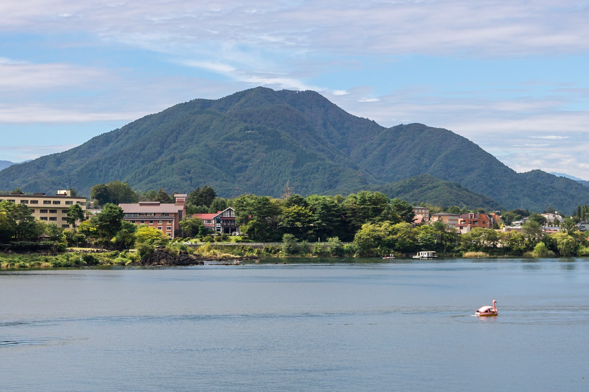 Swan Ride | (Lake Kawaguchi)