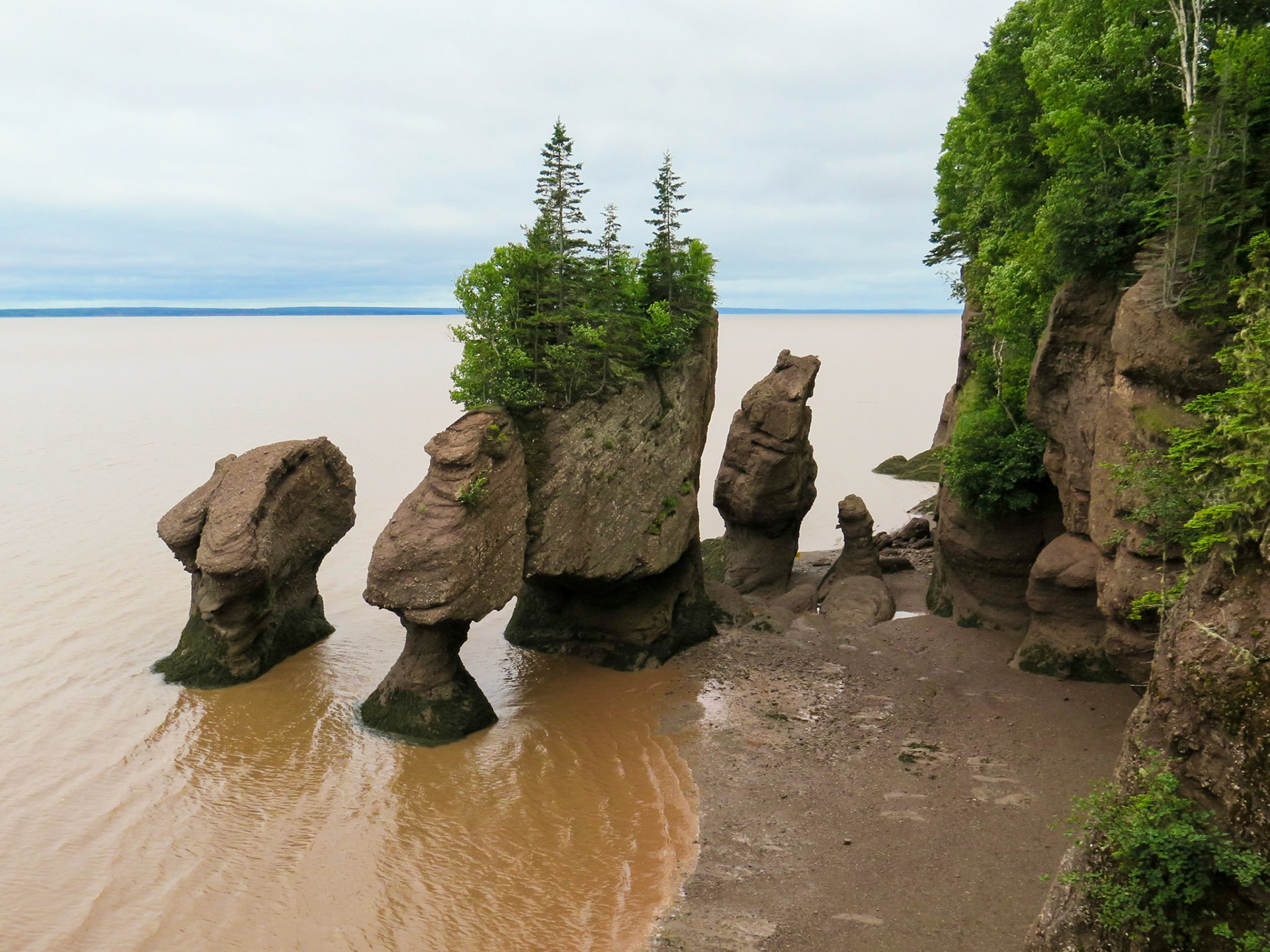Low Tide | (Hopewell Rocks, Canada)