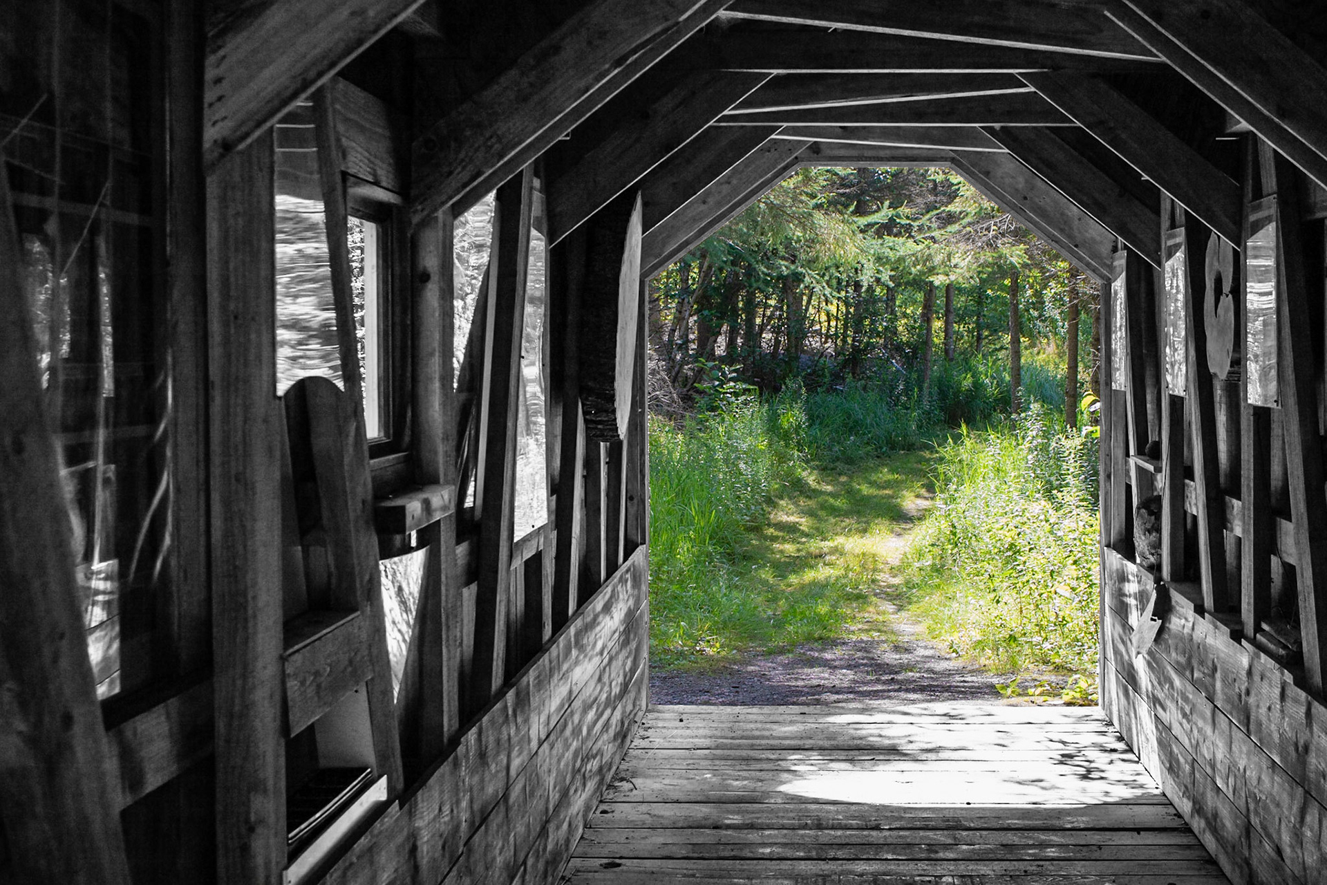 Frames | (Entre Cimes et Racines)
