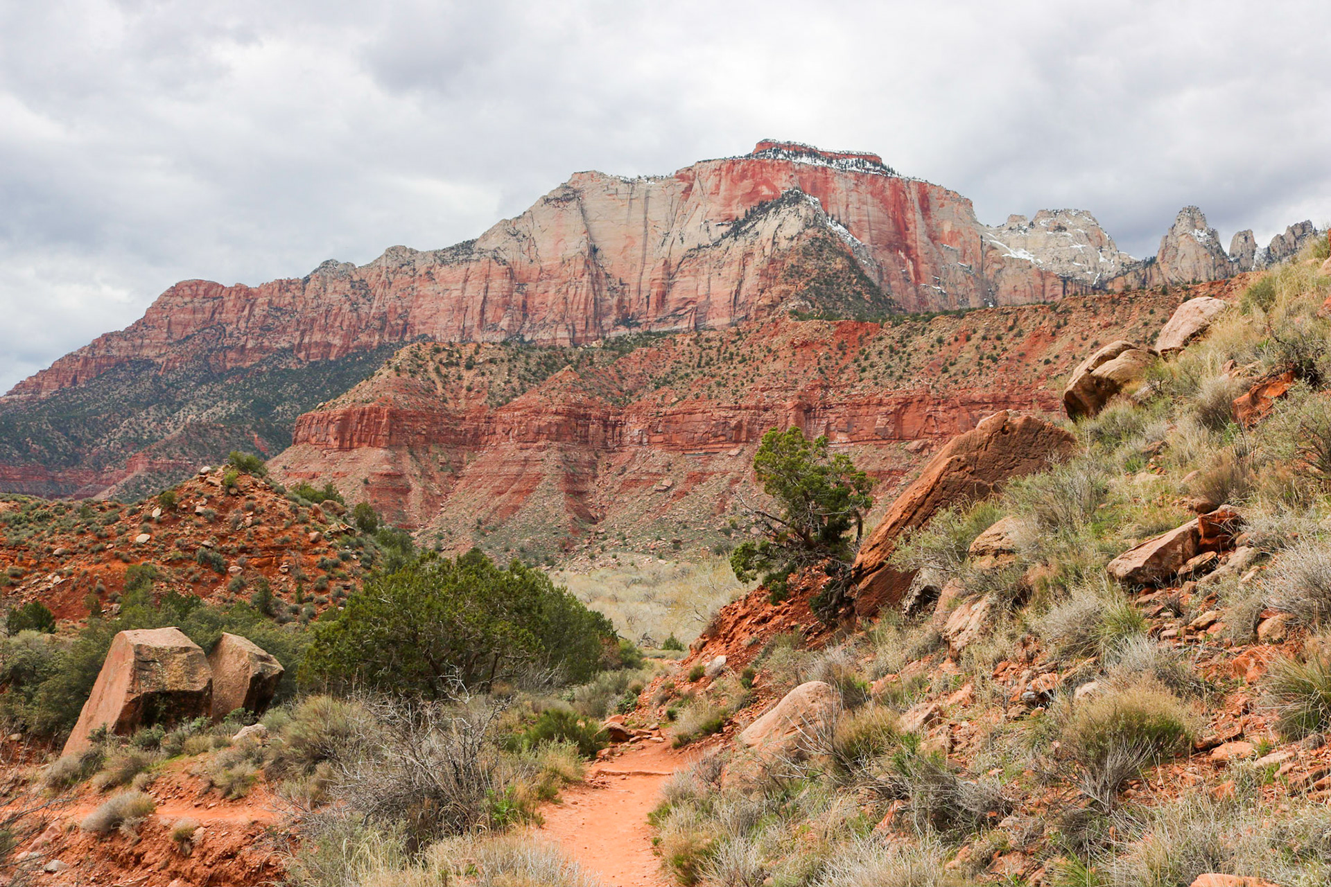 Cloud Cover | (Watchman Trail)