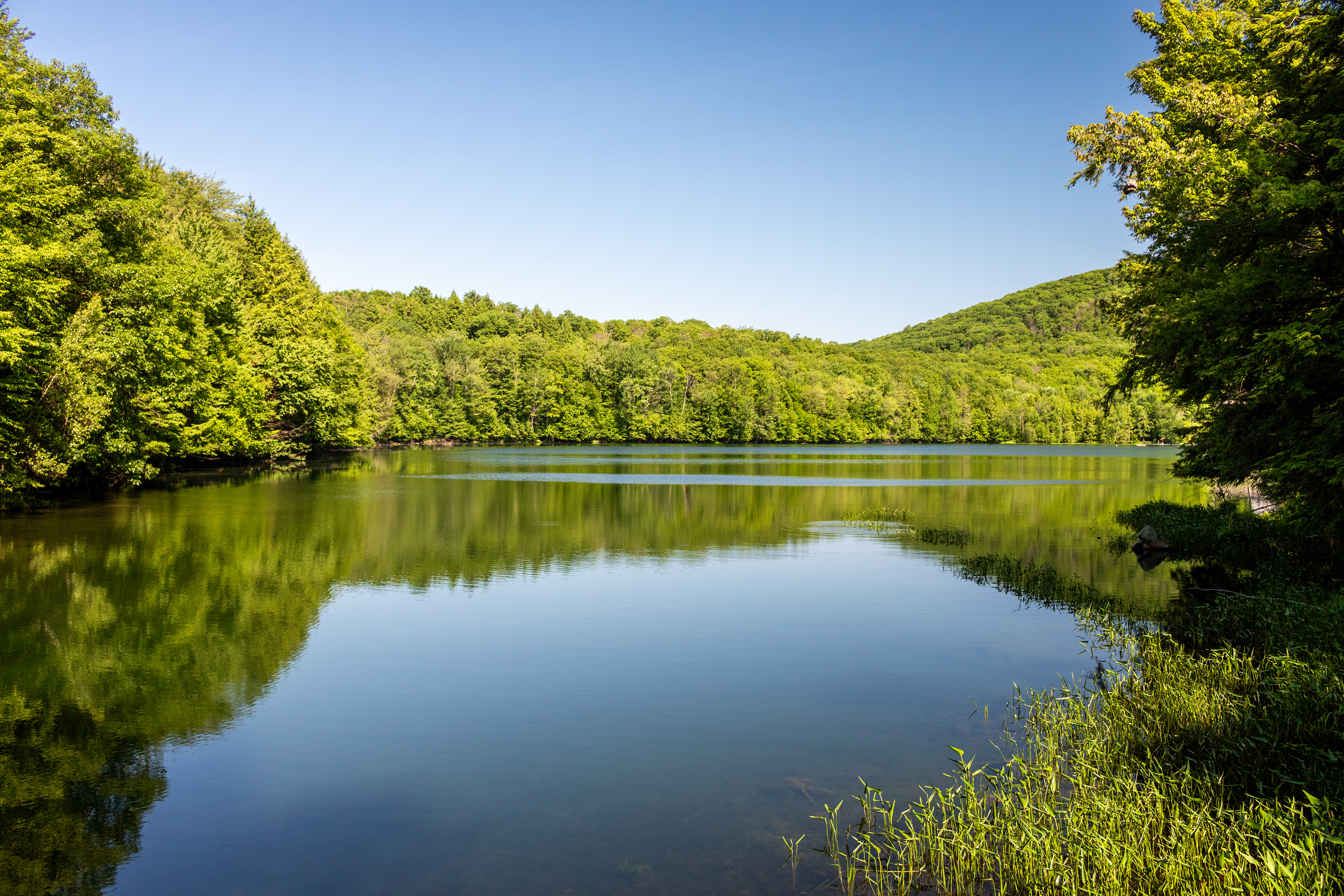 Lac Gale | (Bromont, Canada)