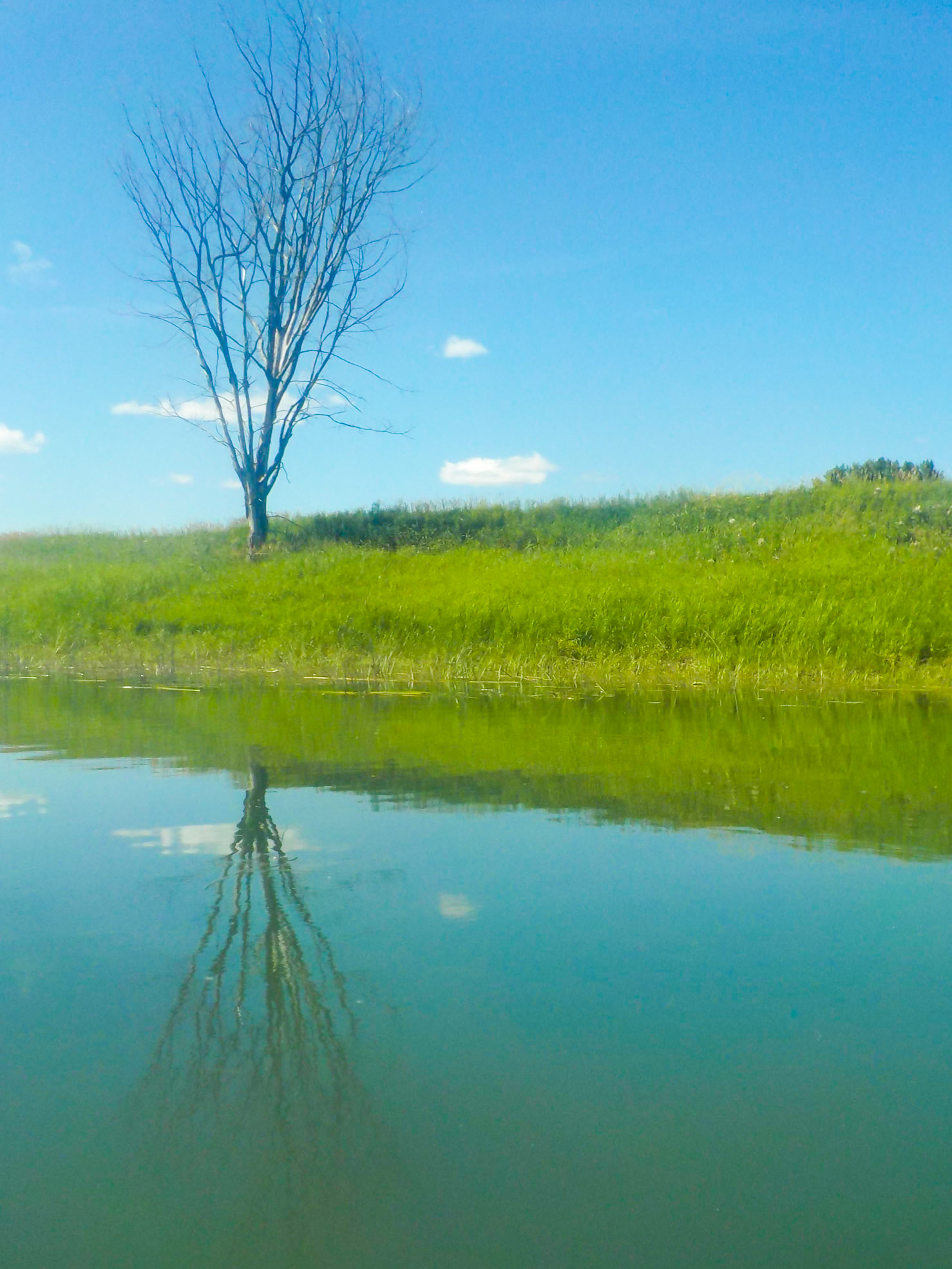 Solo | (Parc National des Îles-de-Boucherville)