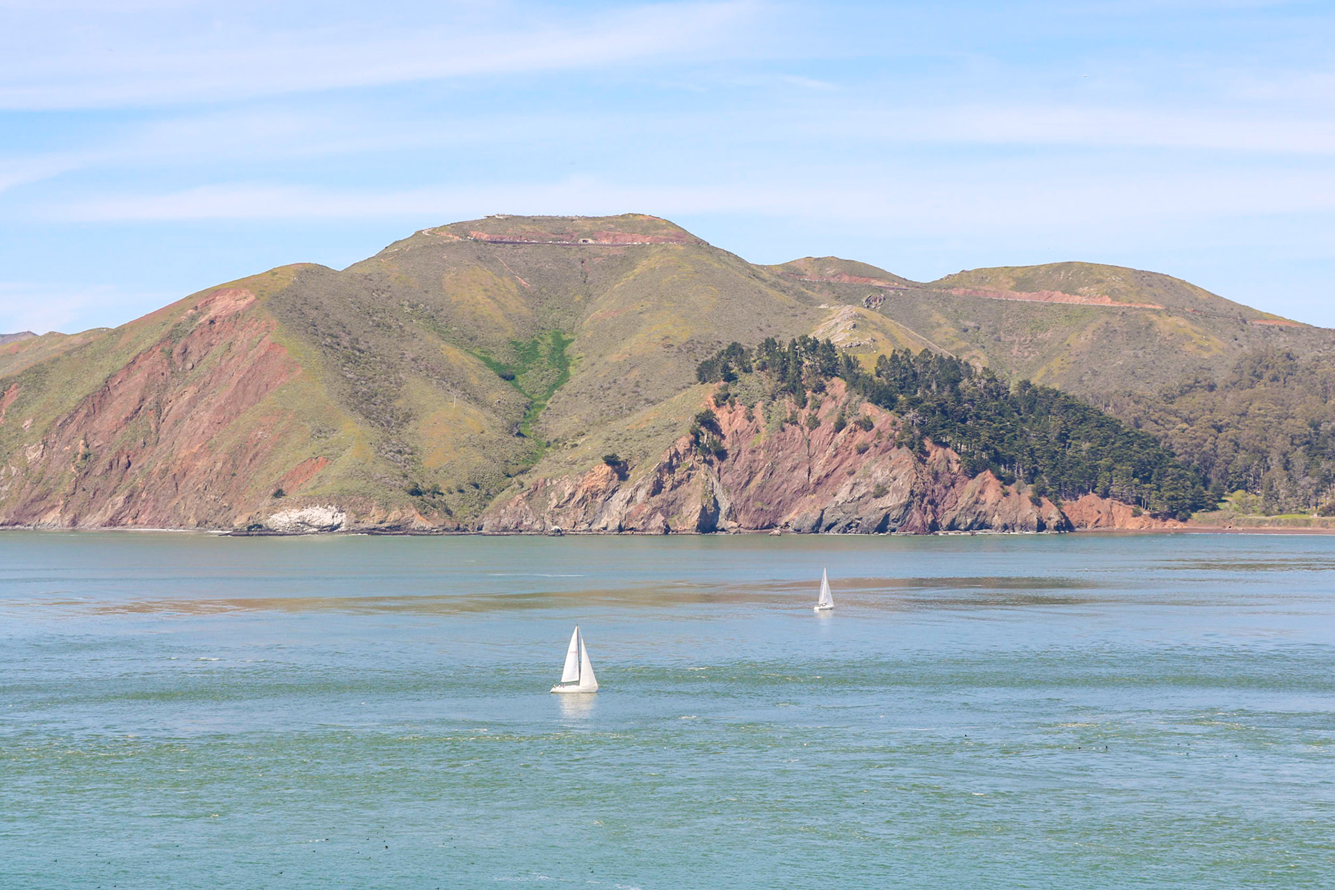 Summer Sail | (Golden Gate Strait)