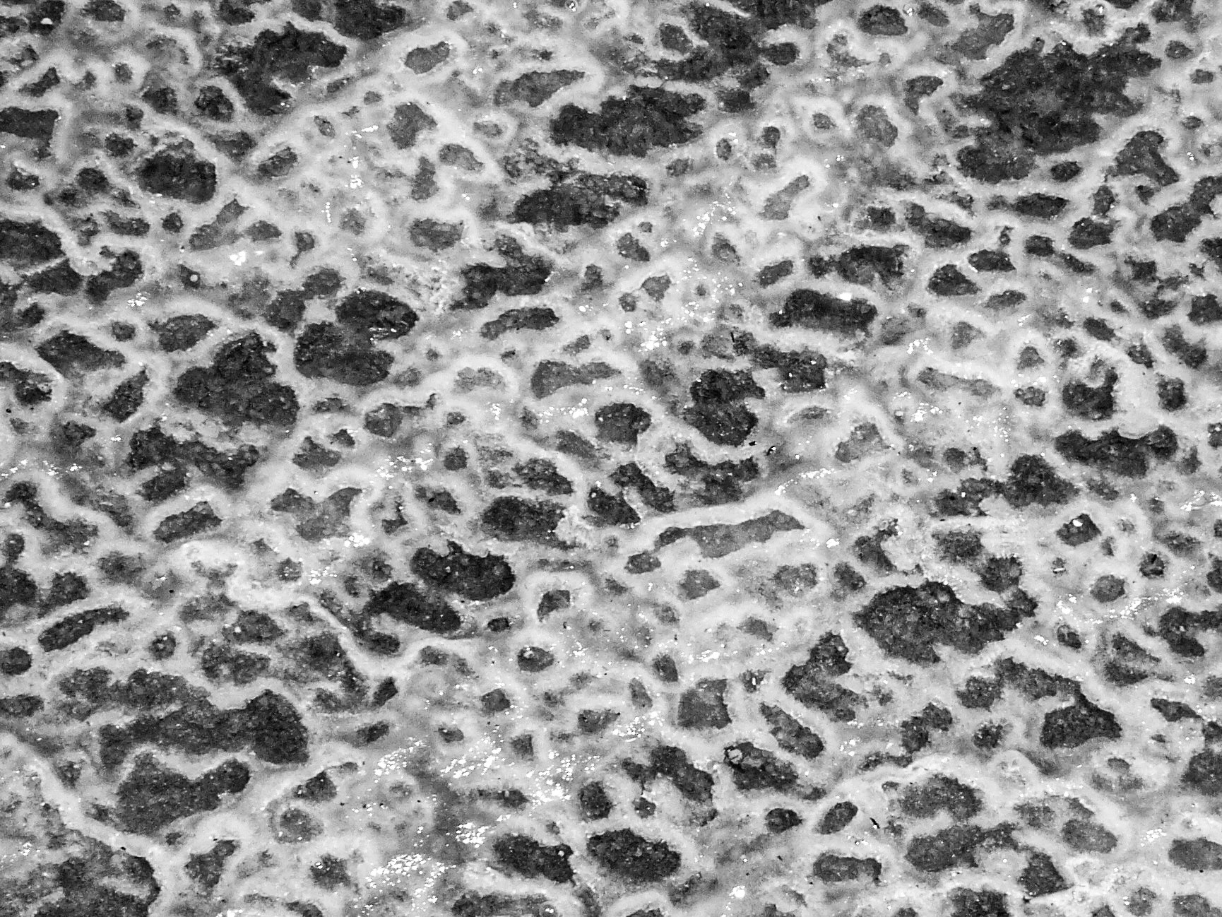 Salty | (Dead Sea)