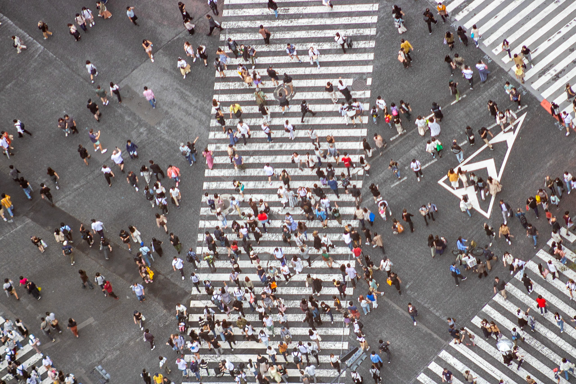 Foot Traffic | (Shibuya Scramble)
