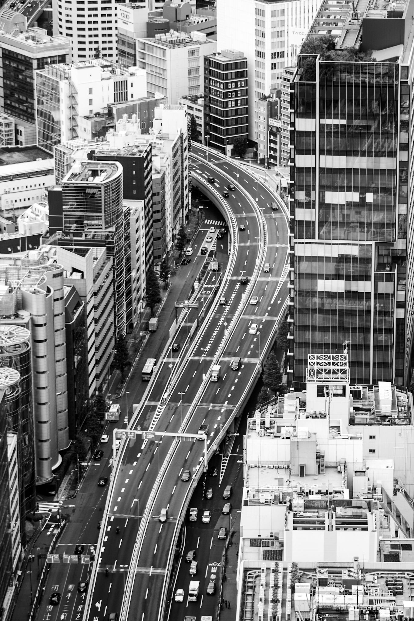 Coming Around | (Shibuya Sky)
