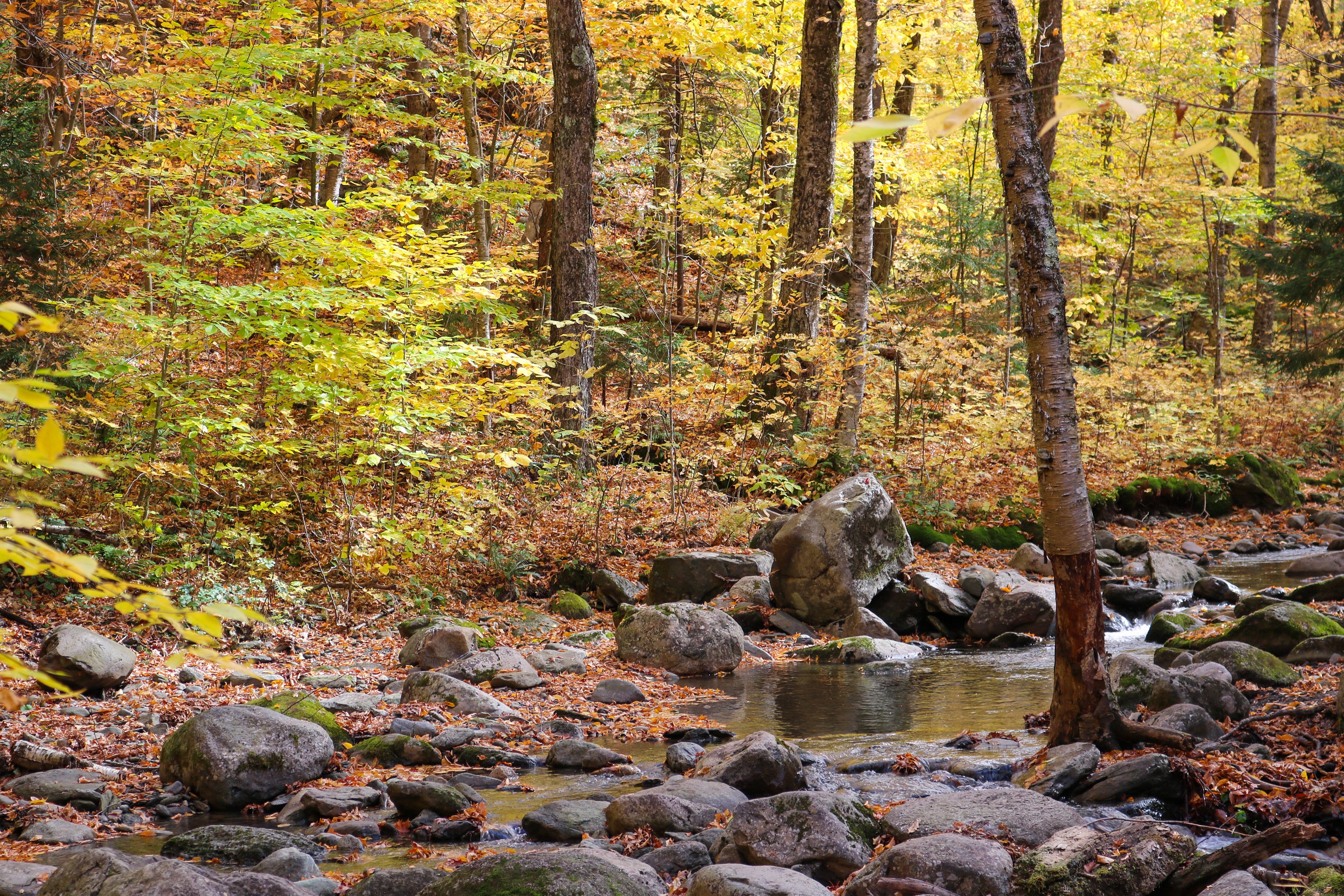 This Rocks! | (Sutton, Canada)