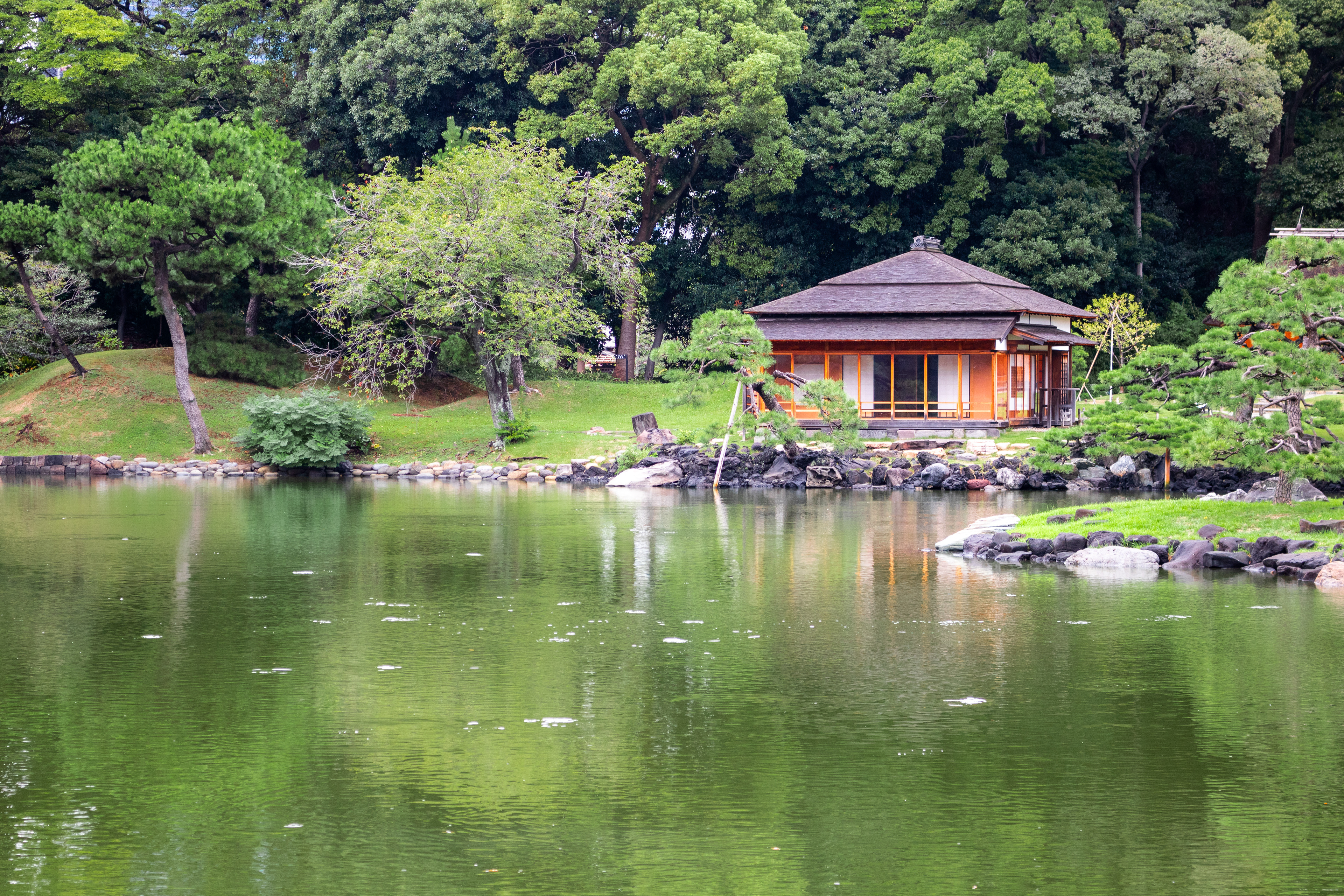 Ochaya | (Tokyo, Japan)