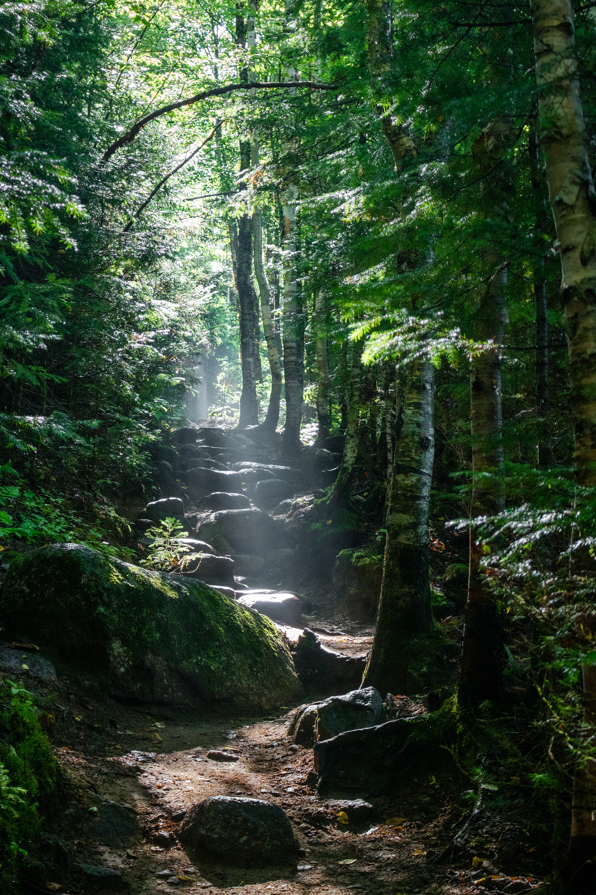 Beaming | (Jacques Cartier National Park, Canada)