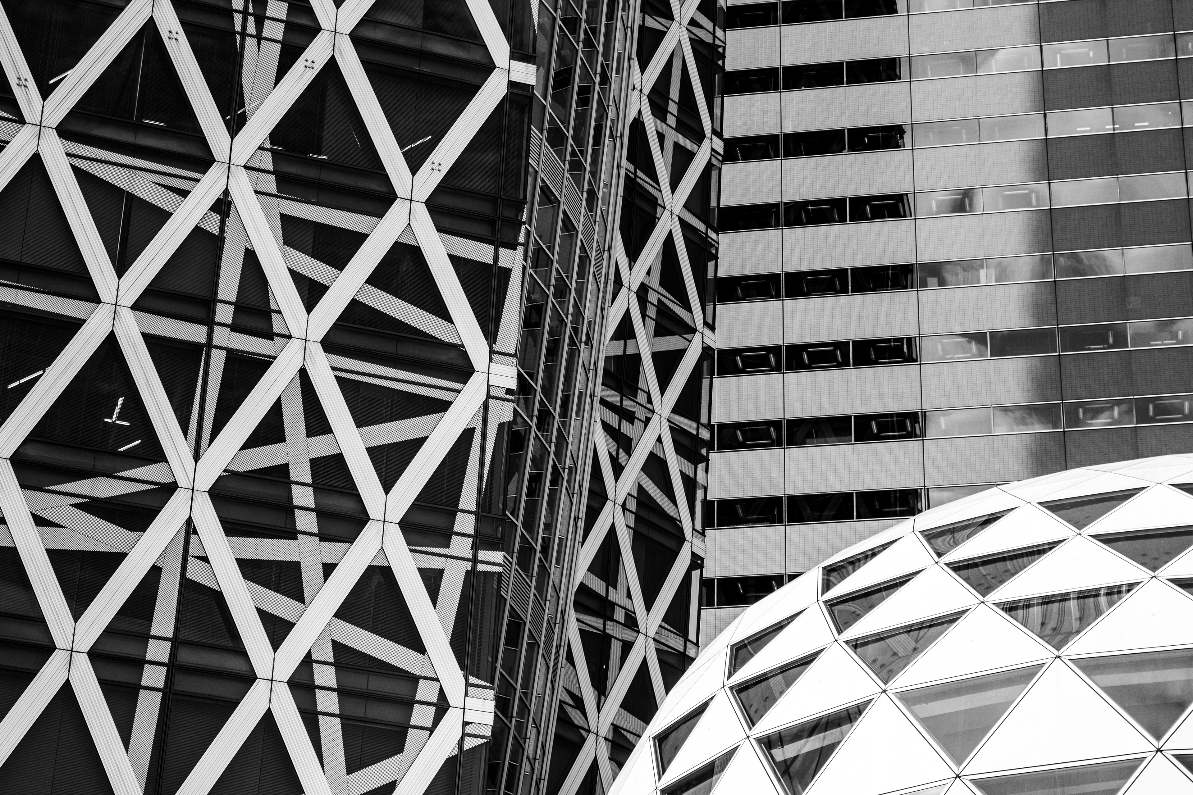 Geometry Party | (Tokyo, Japan)