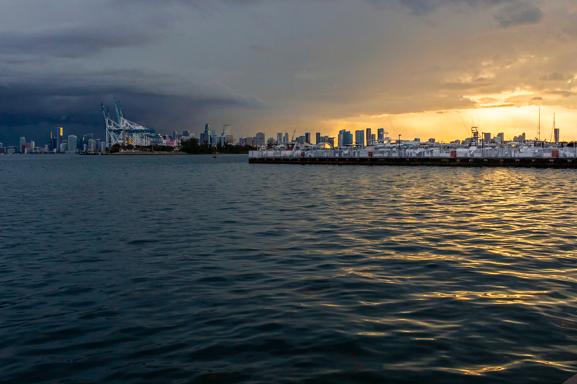 Half and Half | (South Pointe Park)