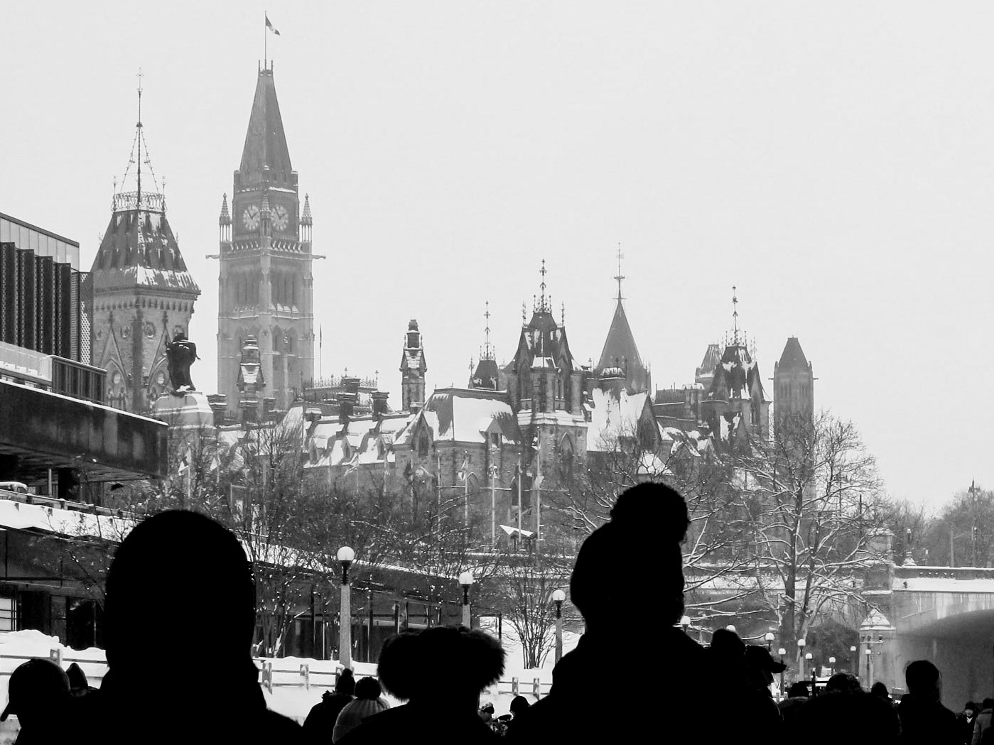 Stop and Stare | (Rideau Canal)