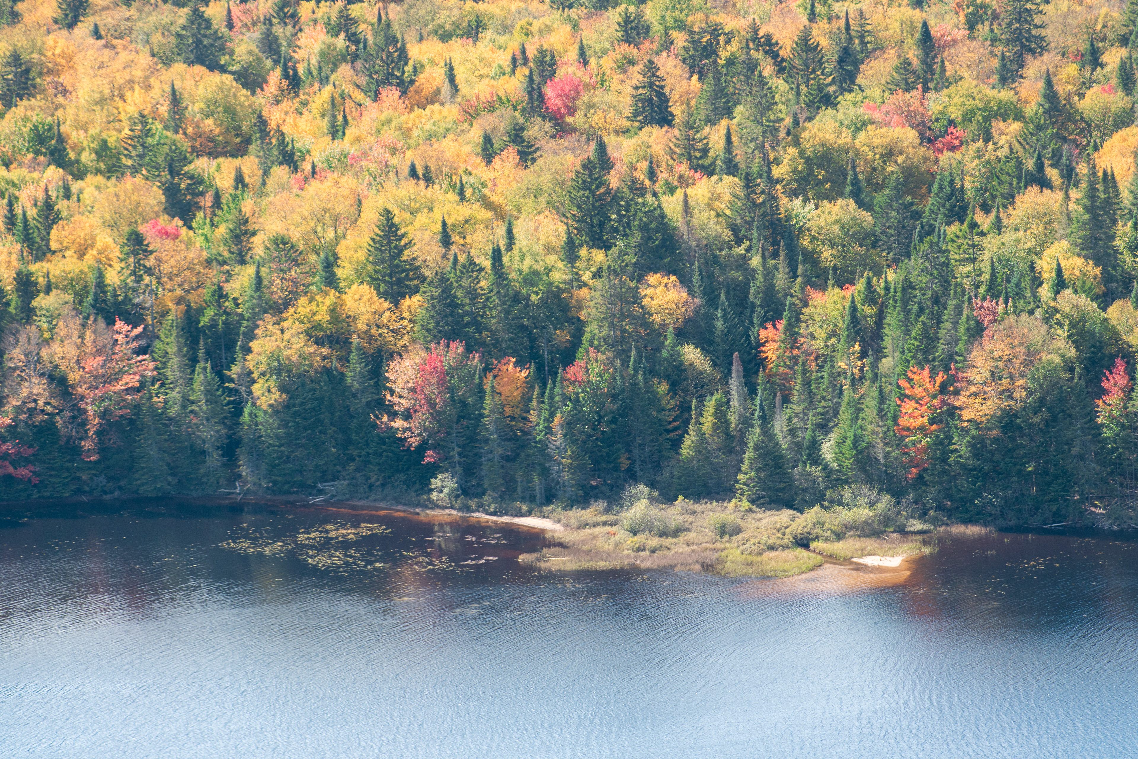 Shallow End | (Mont Tremblant, Canada)