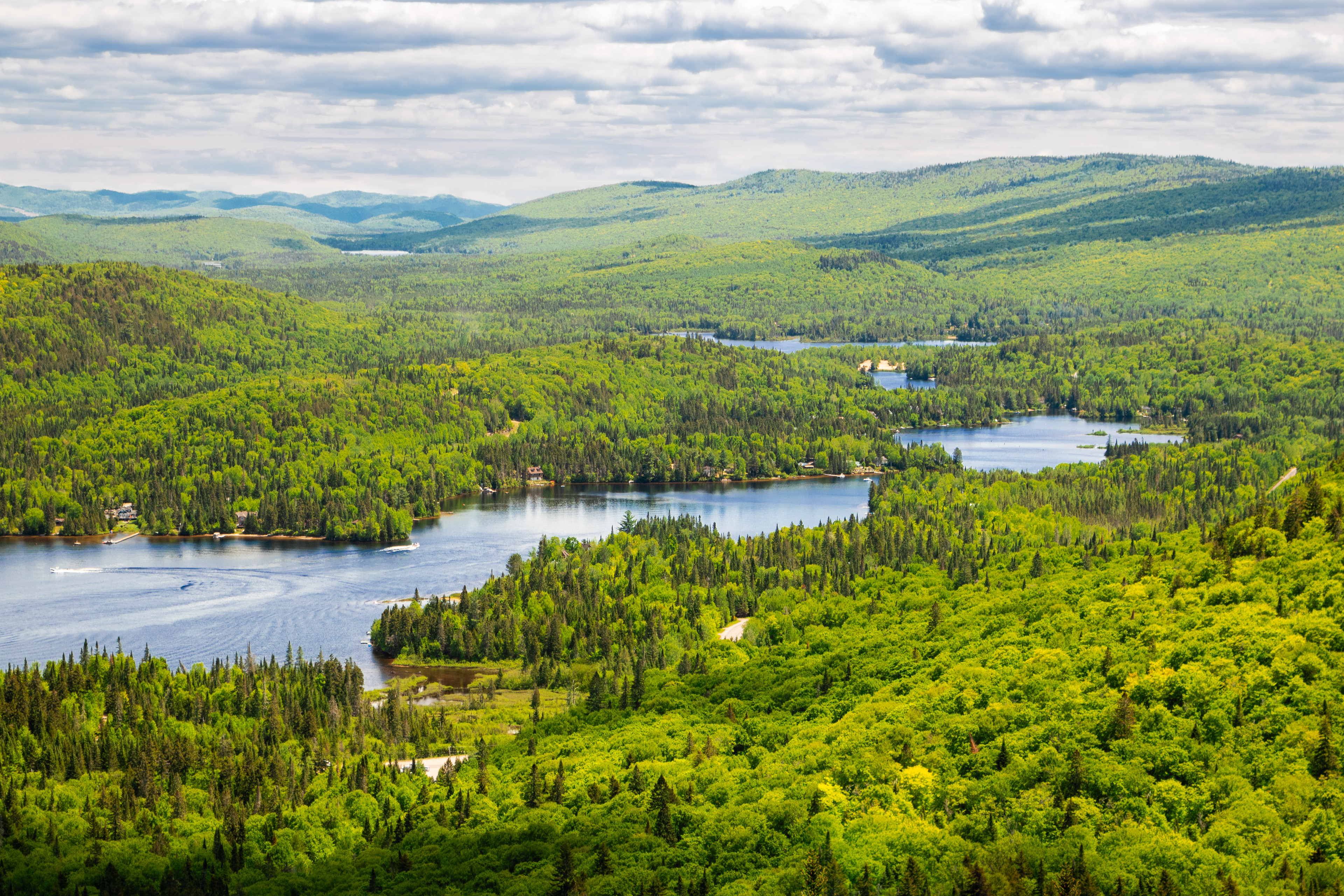 Mountainscape | (Parc National du Mont-Tremblant)