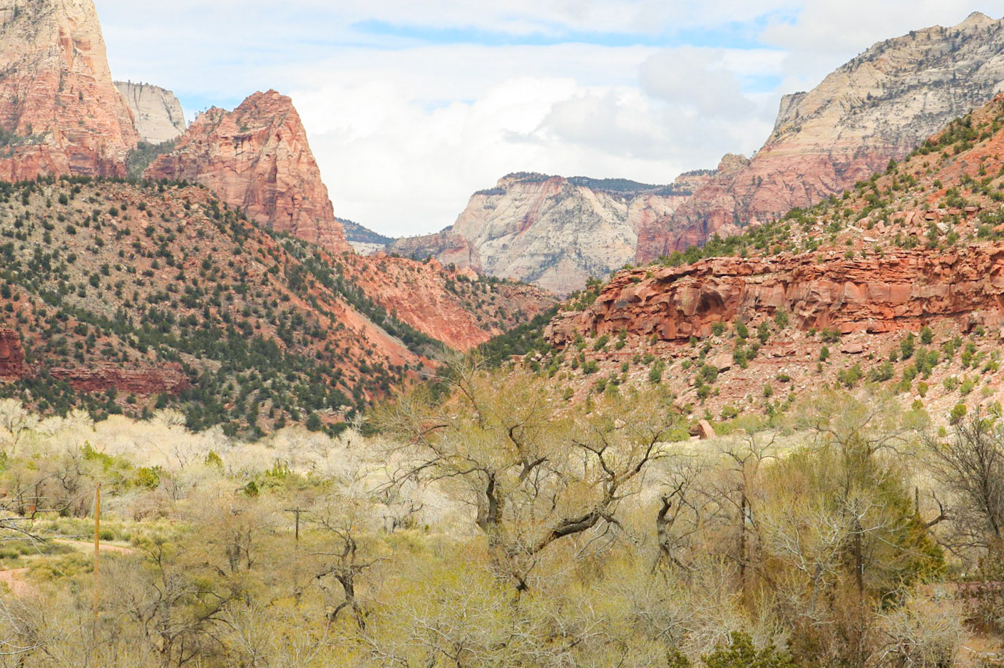 Nature's Skyline | (Watchman Trail)