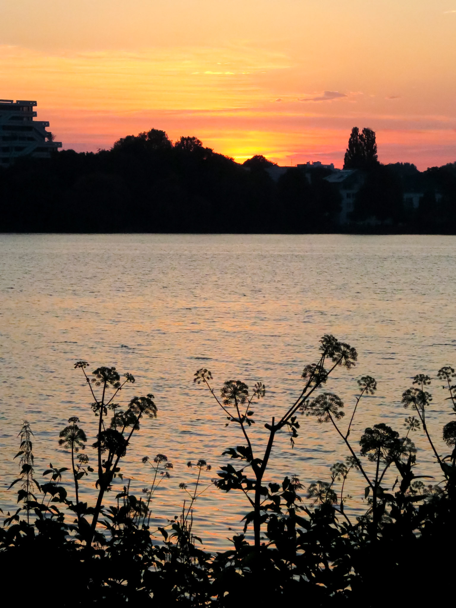 Sleepy Sun