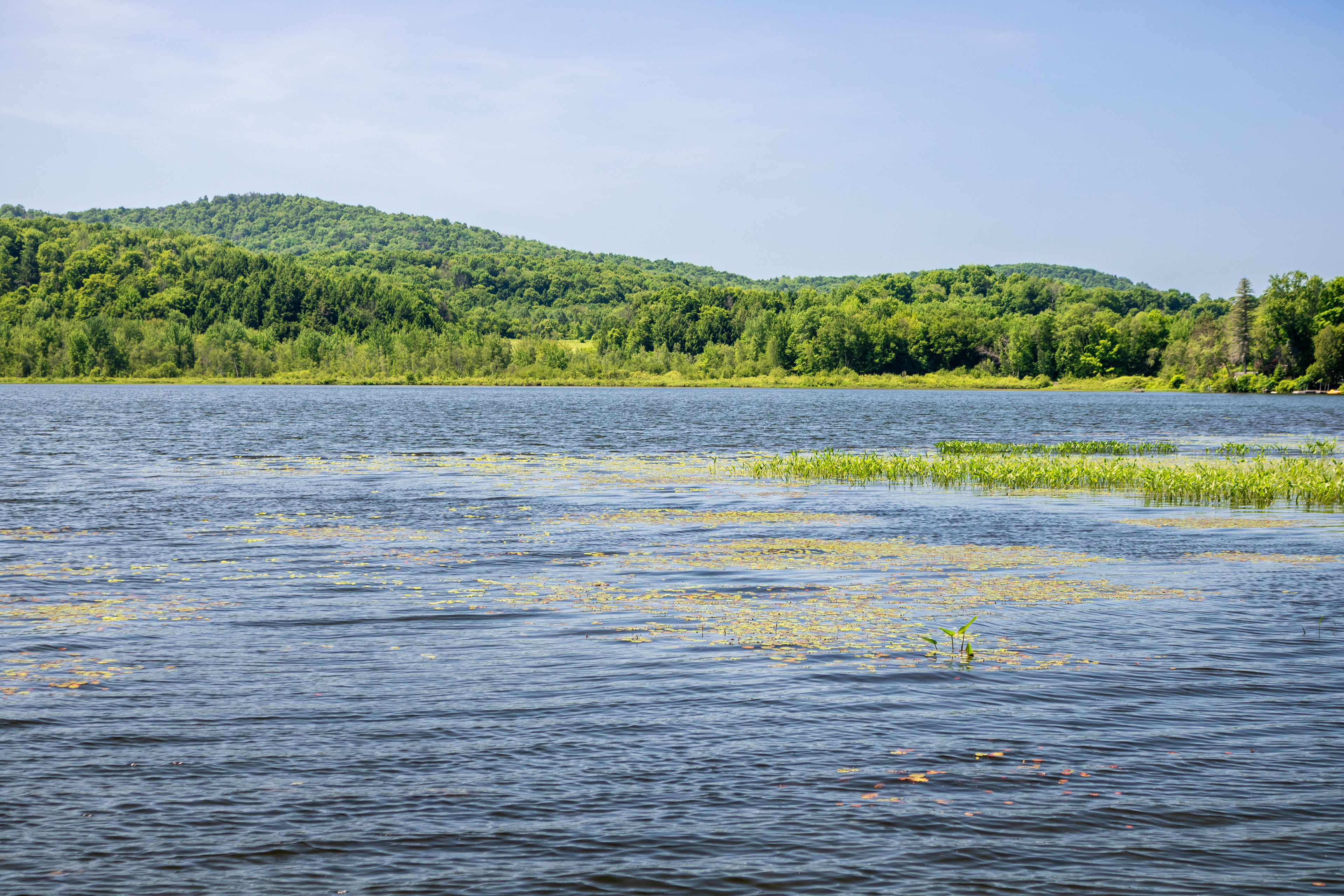 Lake Lounging | (Lac Bromont)