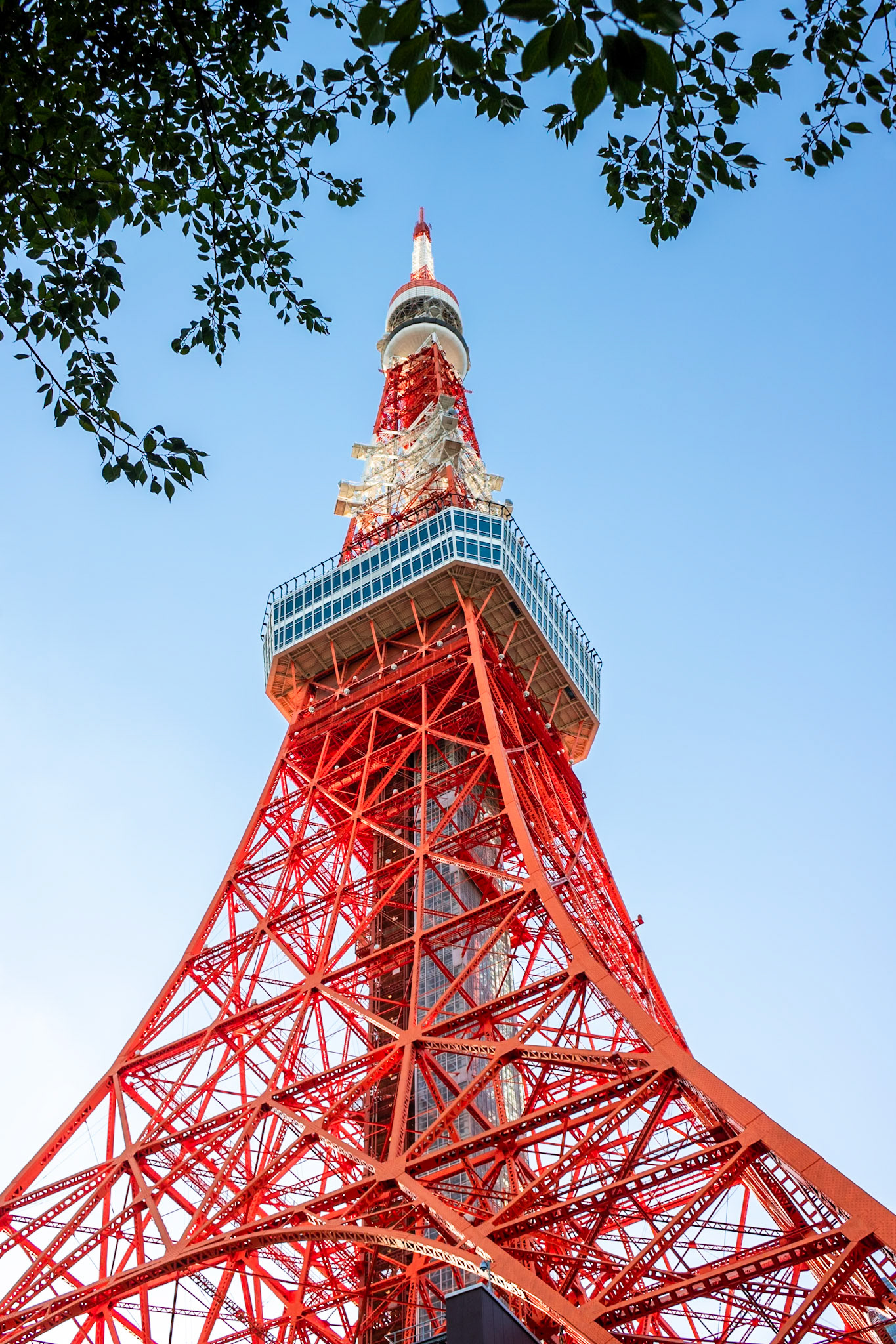 Upwards | (Tokyo Tower)