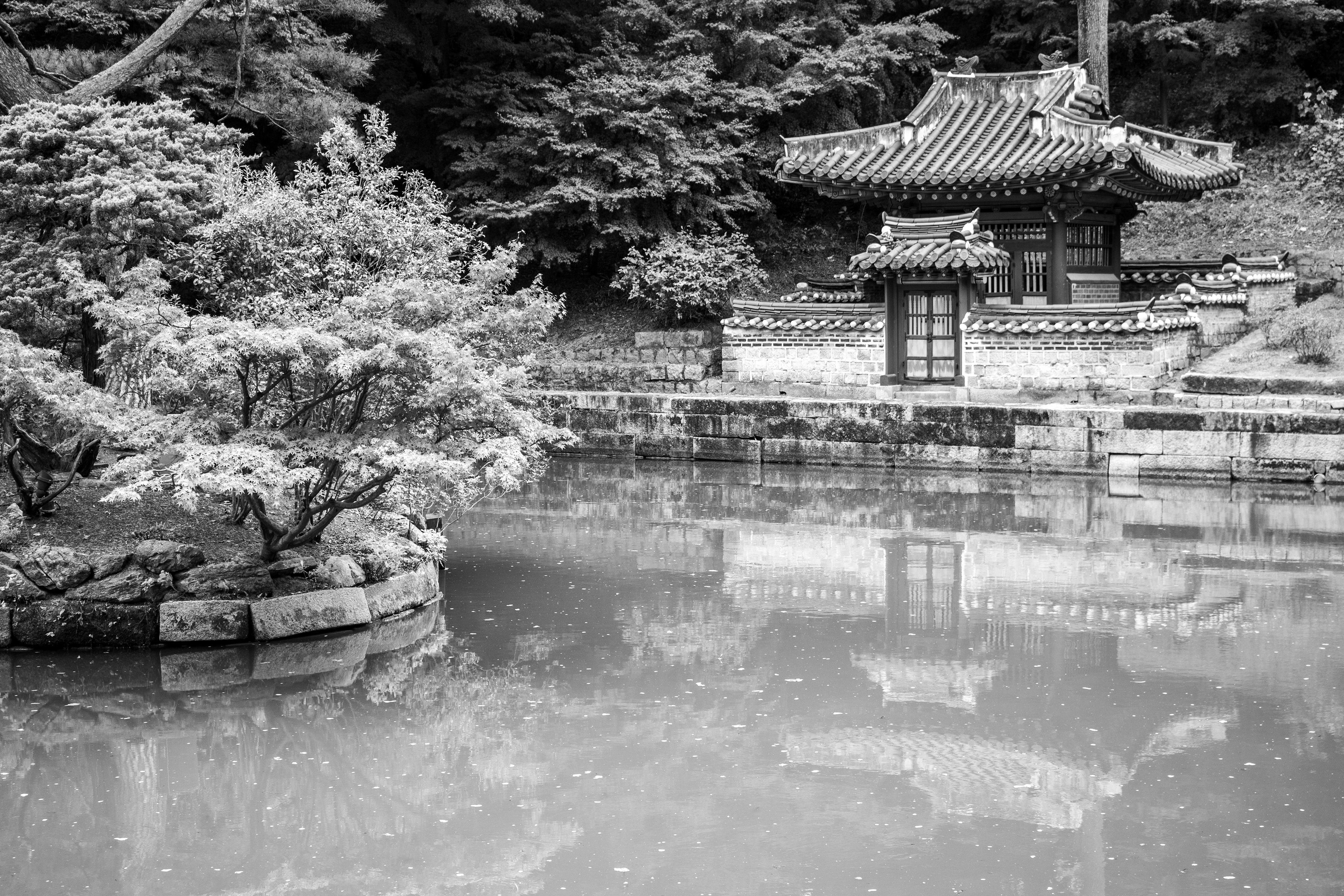 Secret Garden | (Changdeokgung Palace)