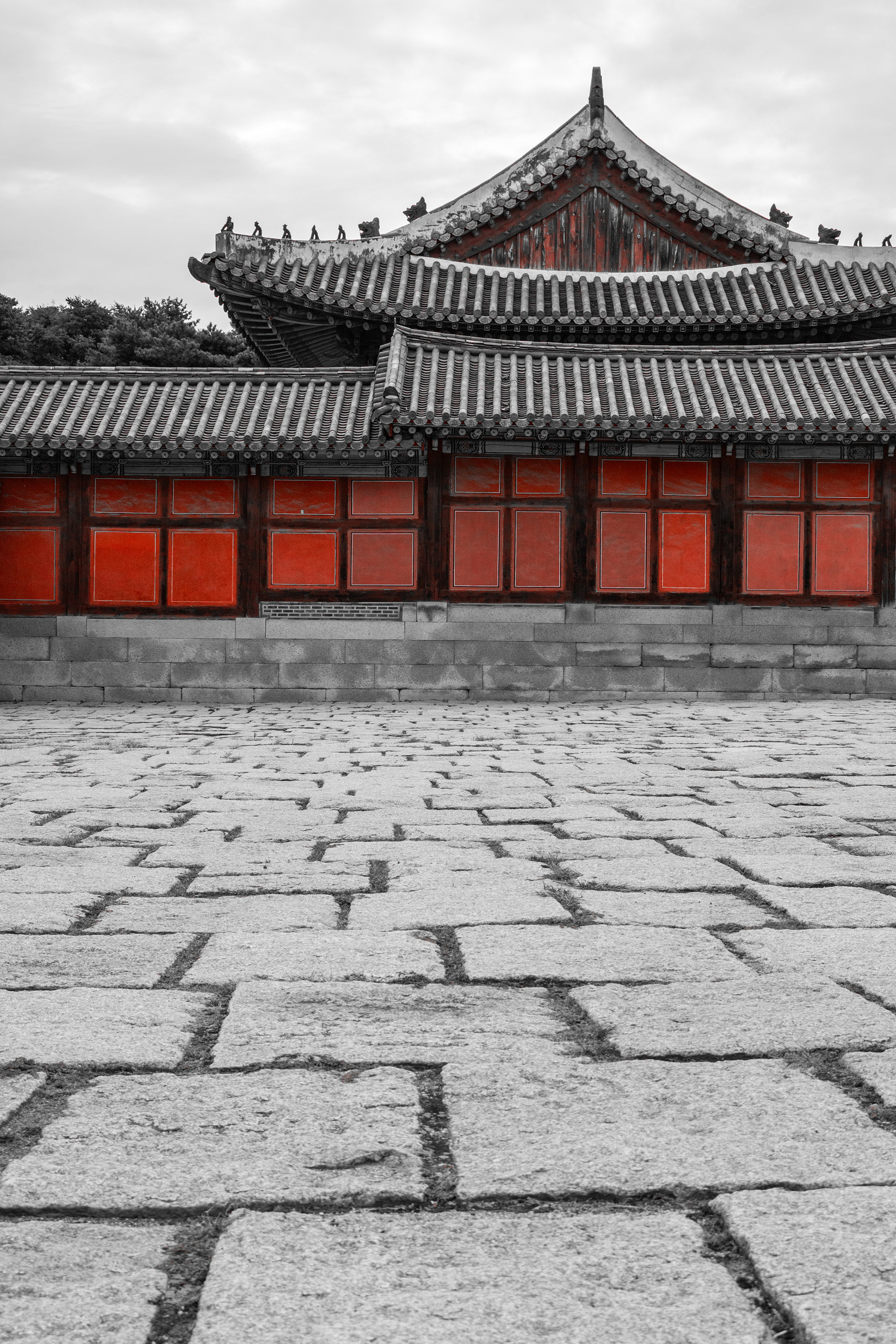 Seeing Red | (Changgyeonggung Palace)