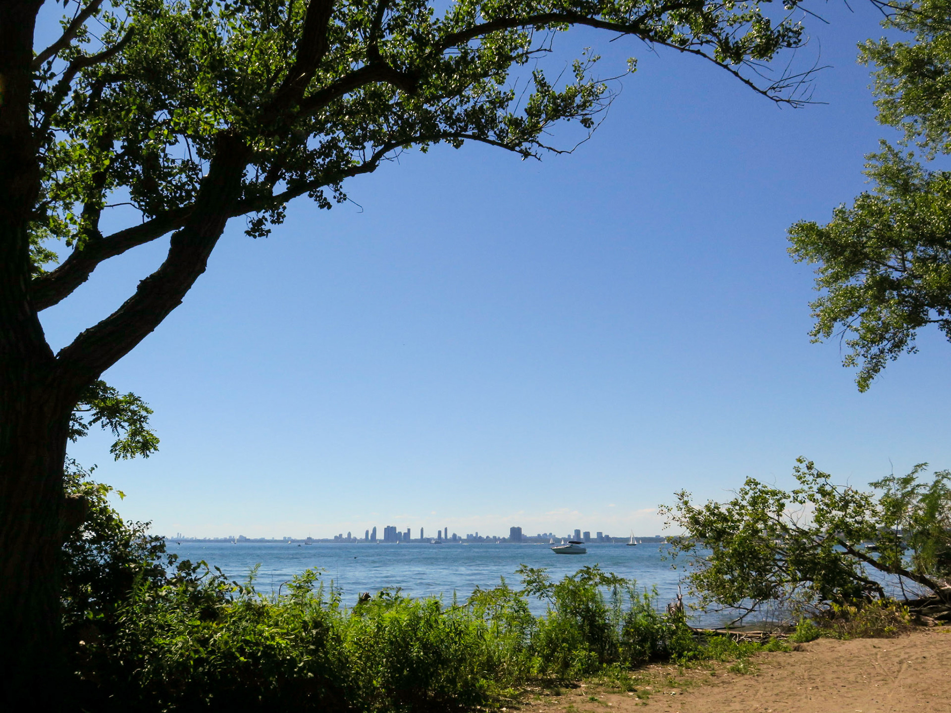 Island Vibes | (Centre Island)