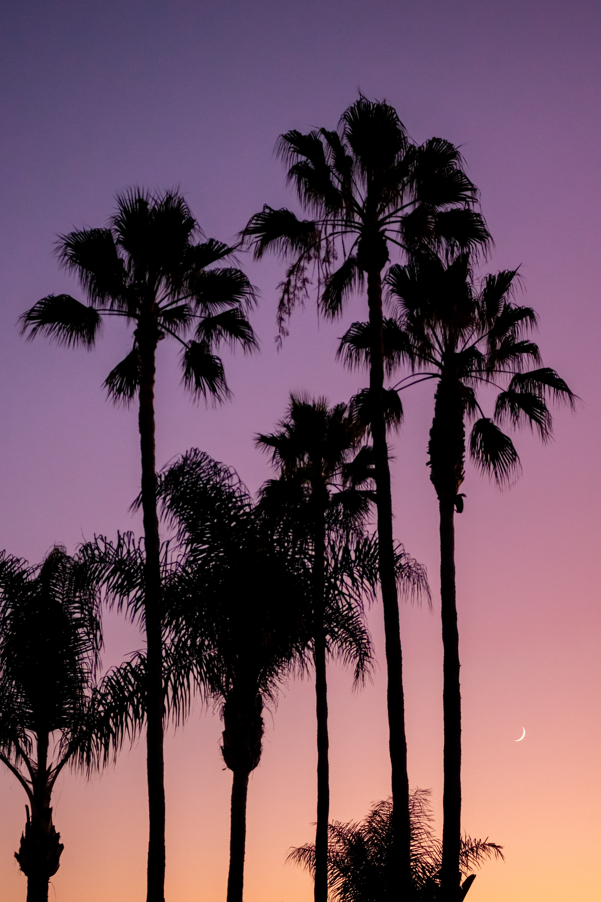 California Skies | (San Diego, USA)