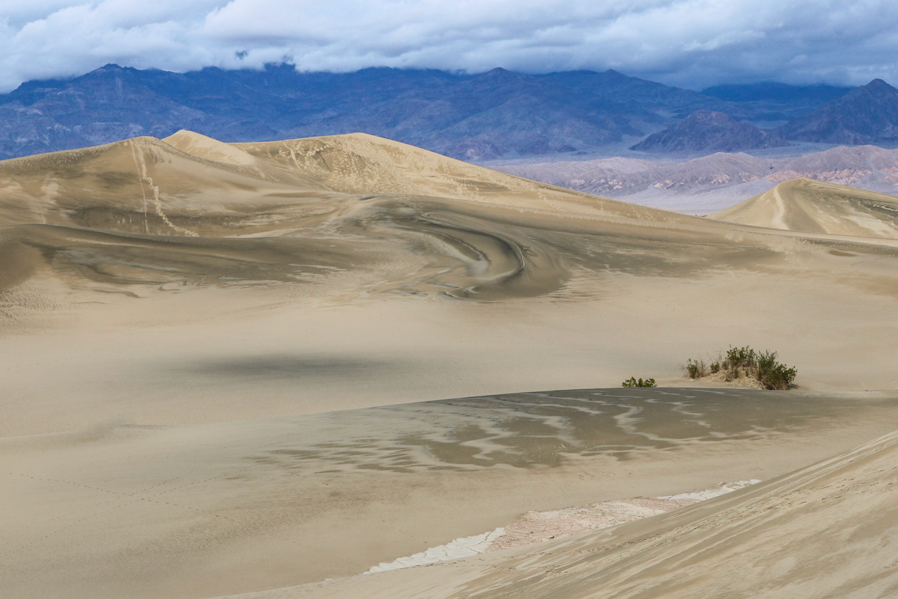 Sand Waves | (Mesquite Flat Sand Dunes)
