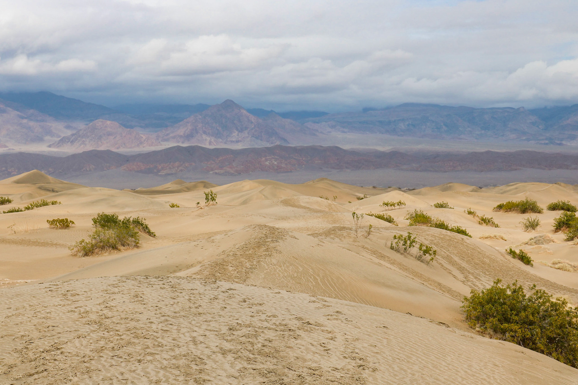 Follow the Footprints | (Mesquite Flat Sand Dunes)