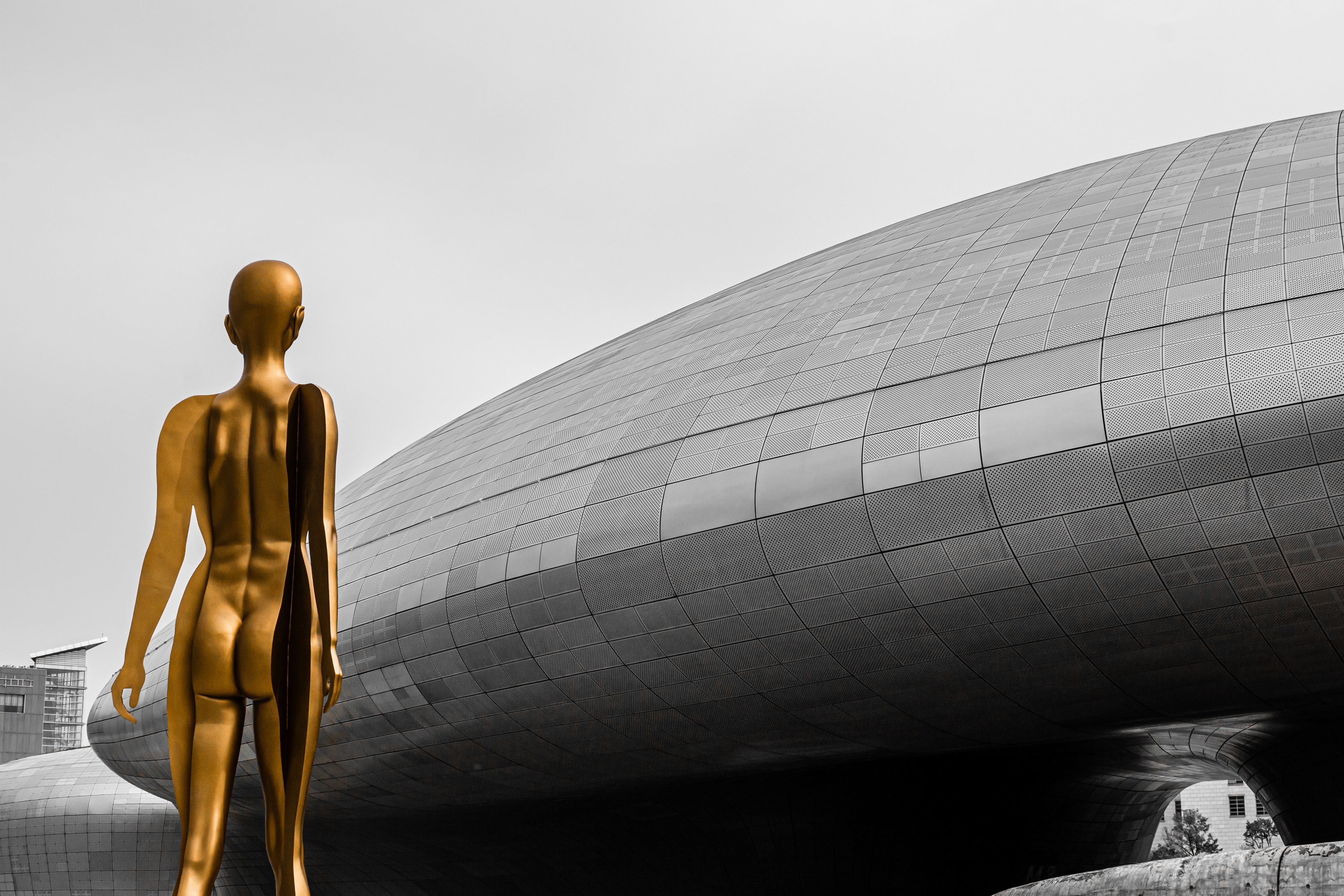 Back Up | (Seoul, South Korea)