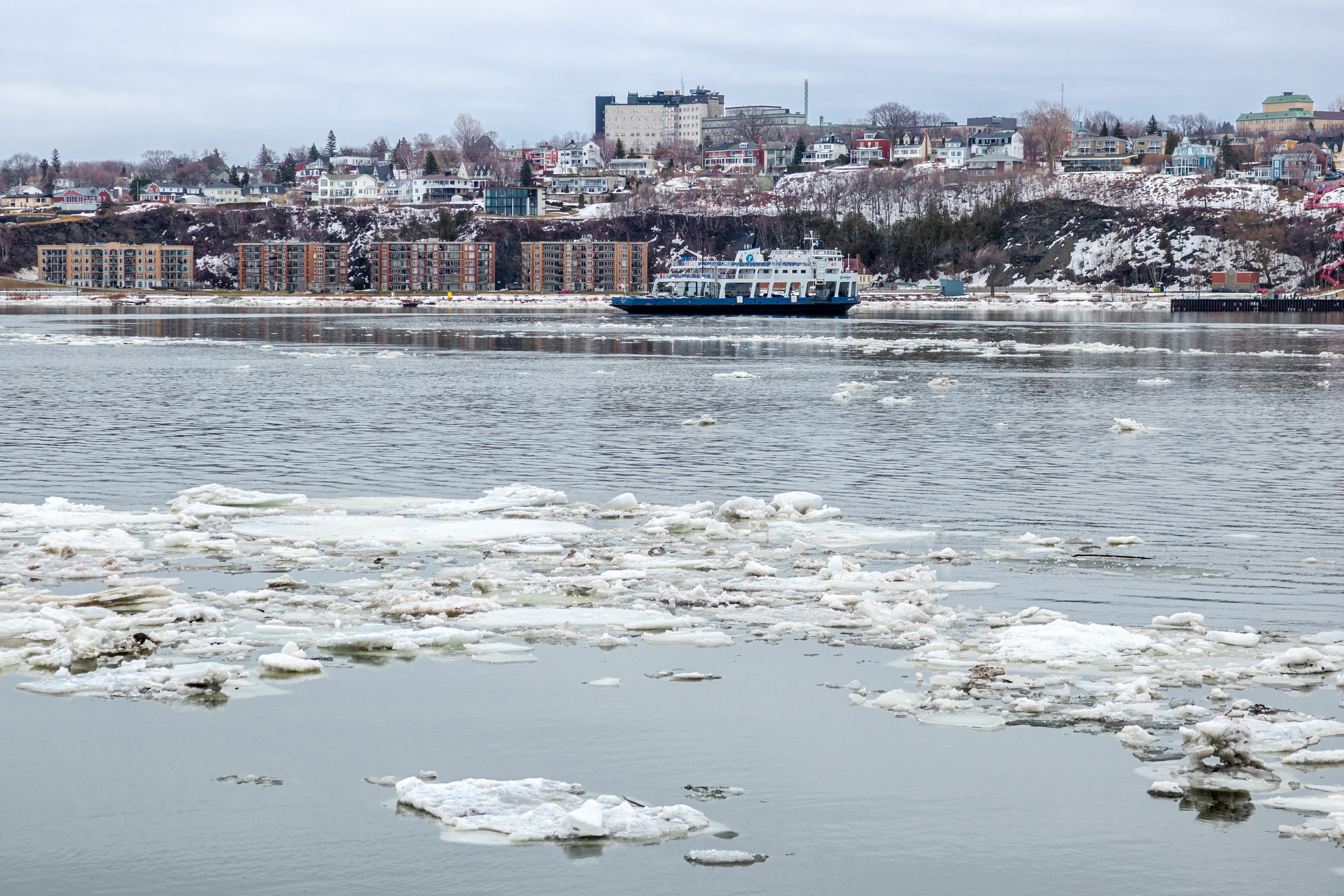 Frozen Ferry | (Lévis Ferry)