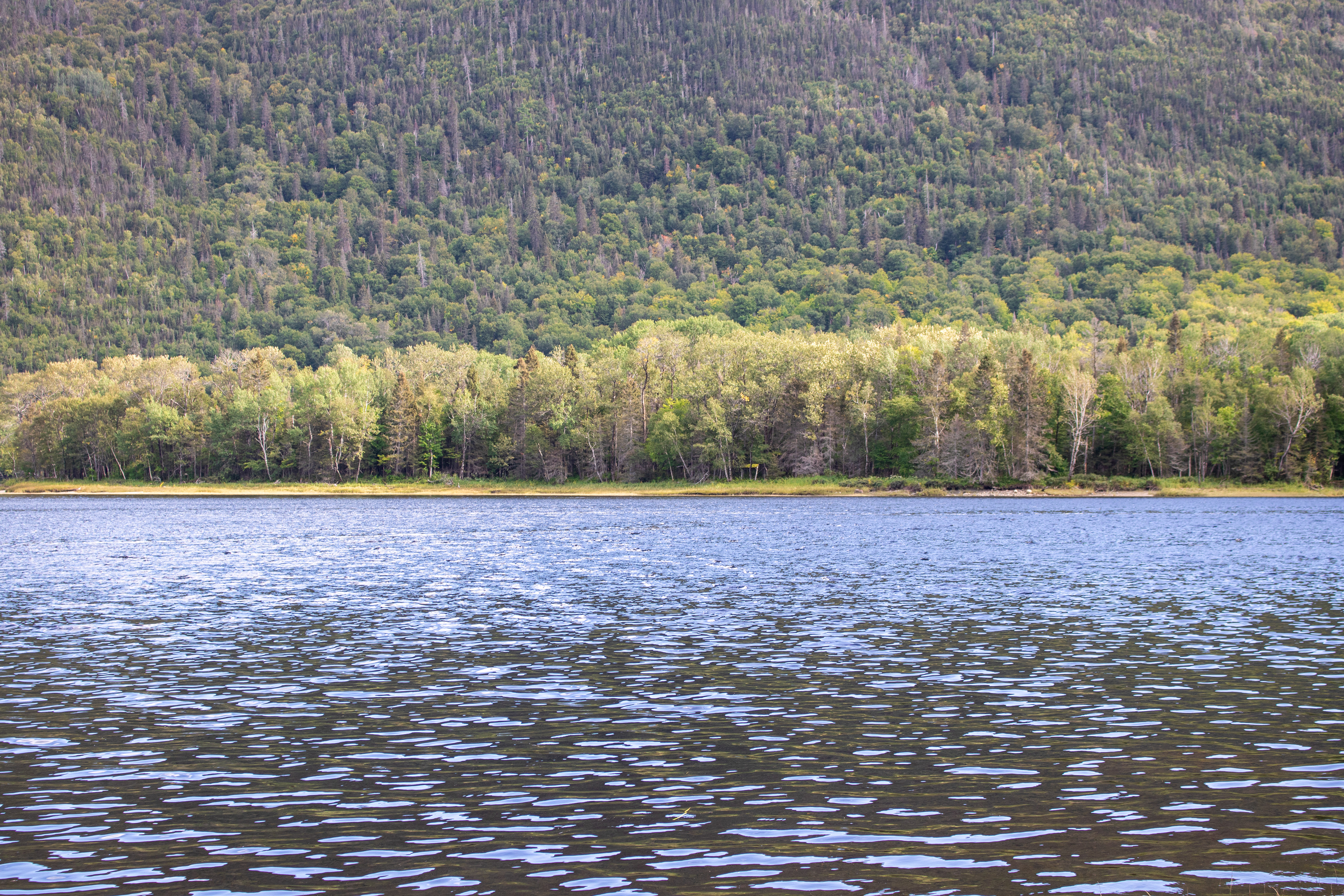 Half and Half | (Saguenay, Canada)