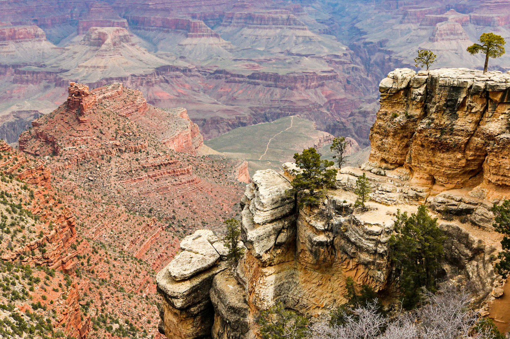 Canyon Cliffs | (South Rim Trail)