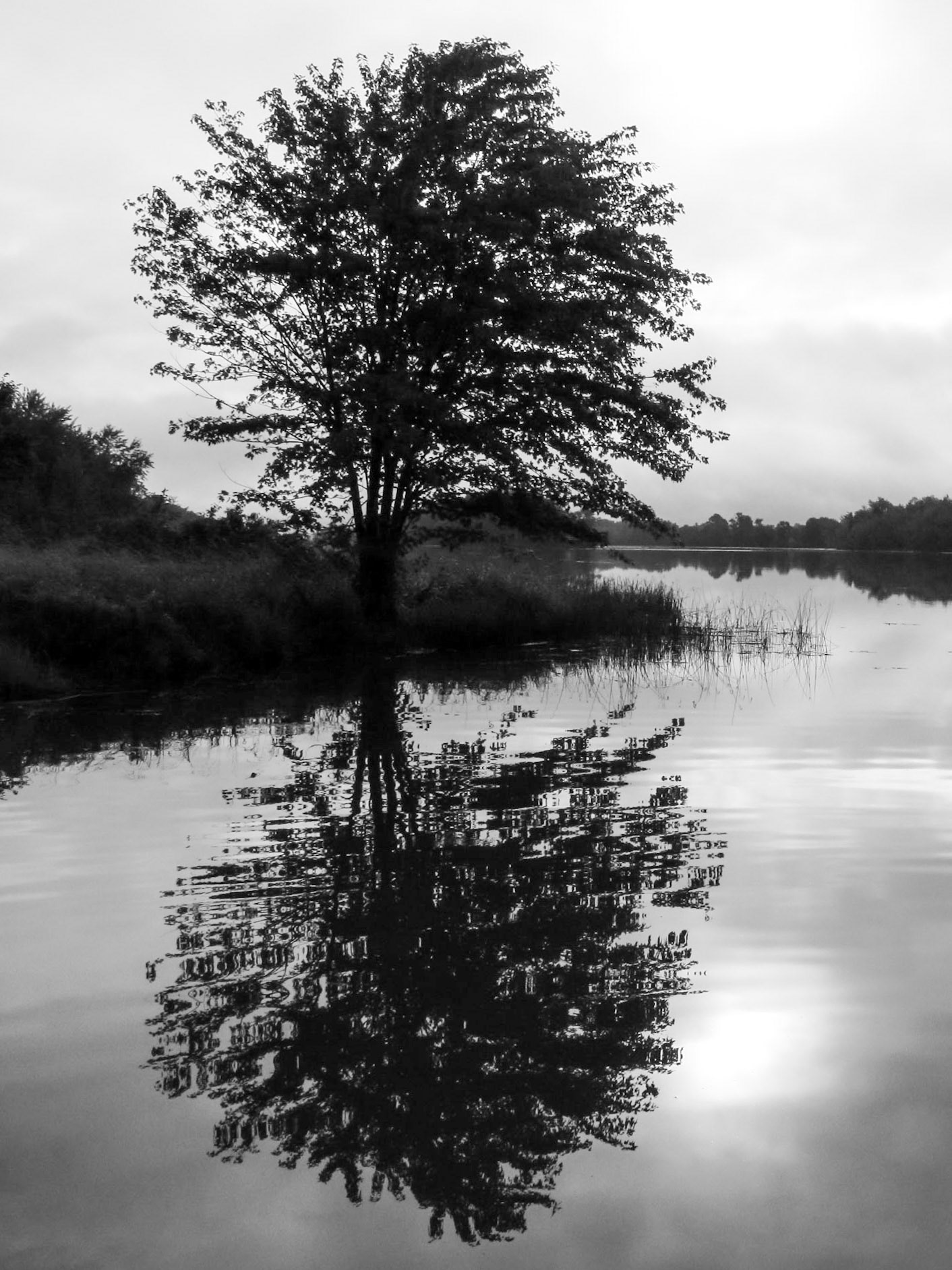 One Becomes Two | (Parc National de Plaisance)