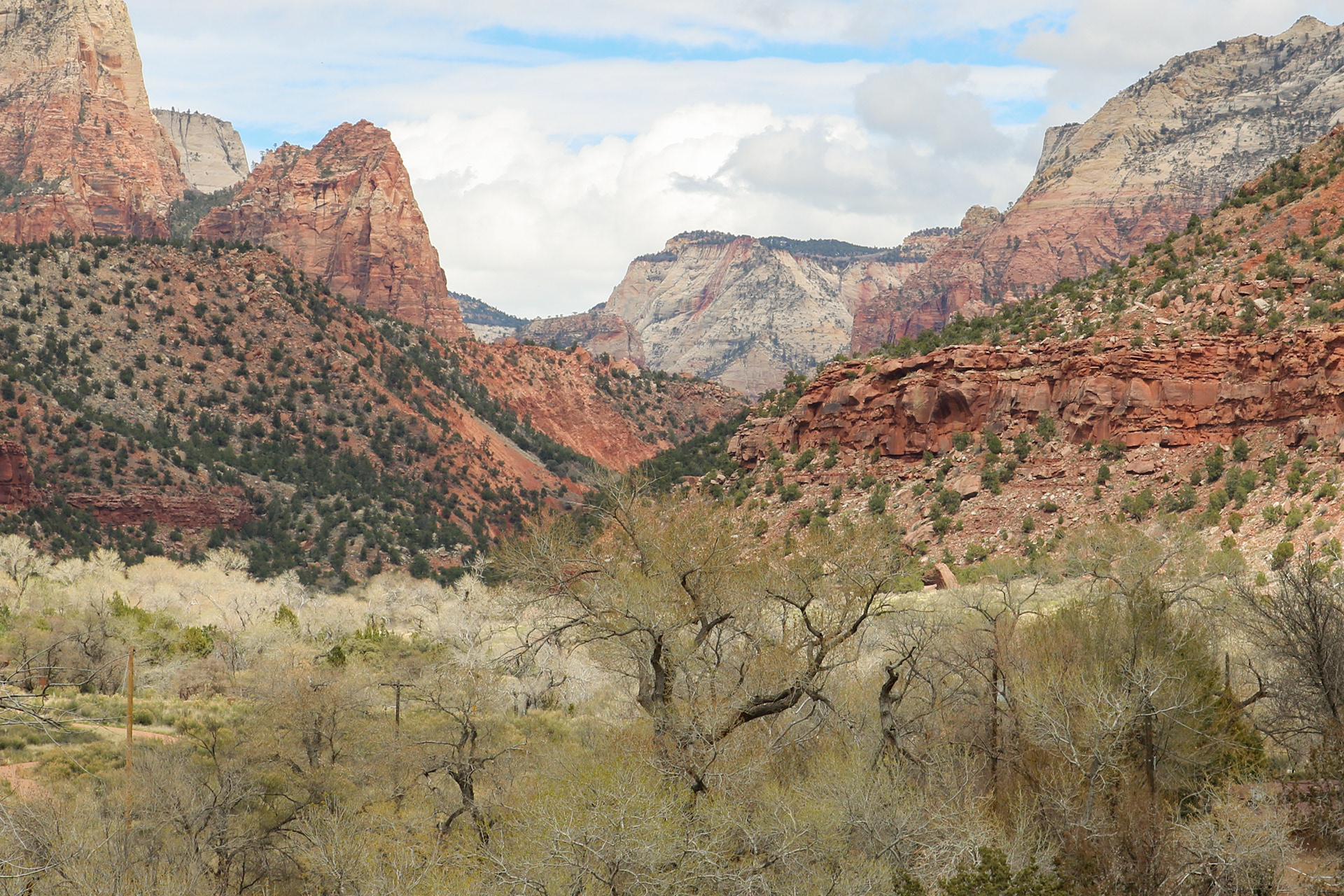 Nature's Skyline | (Zion, USA)