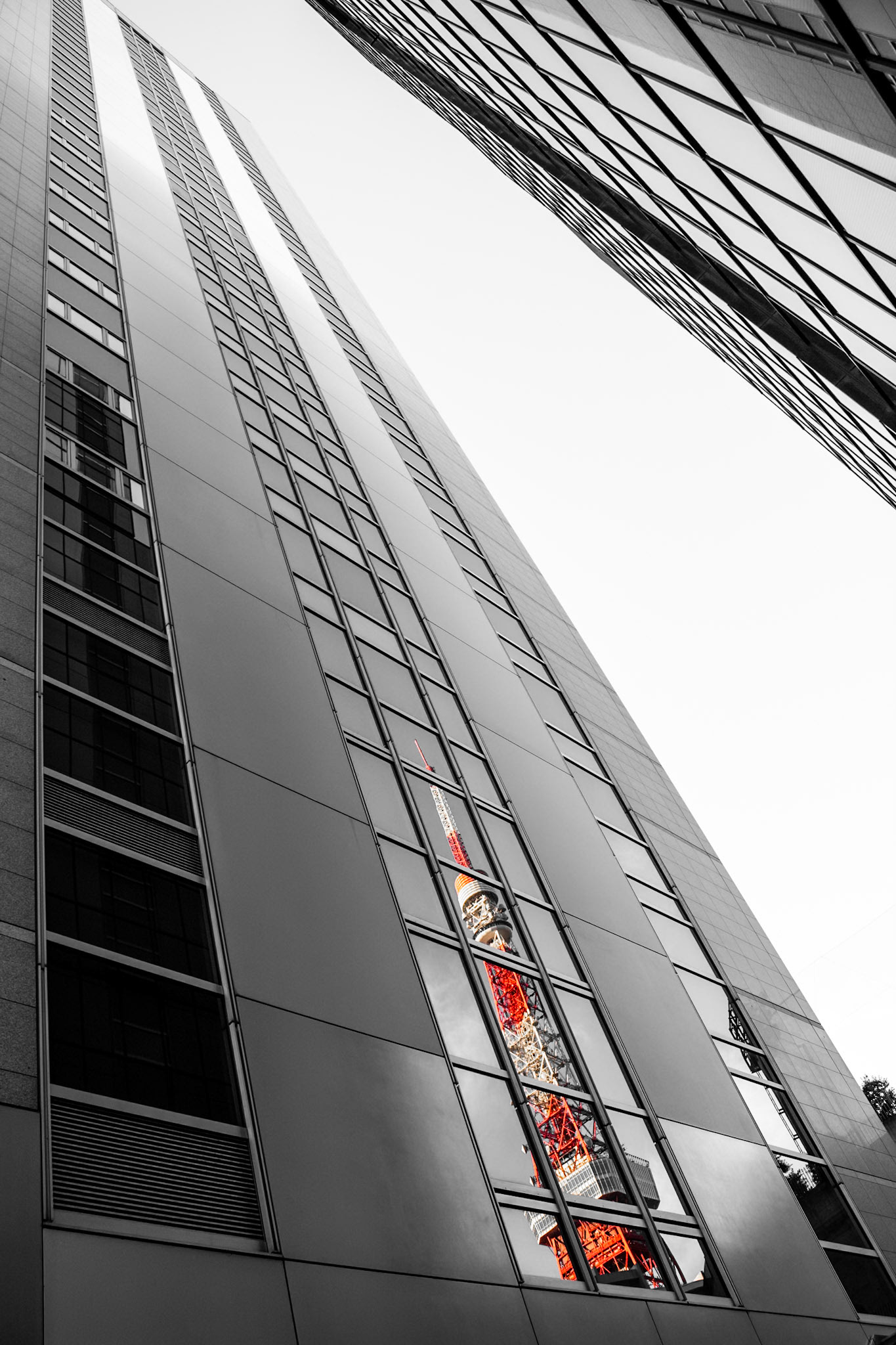 In The Window | (Tokyo Tower)