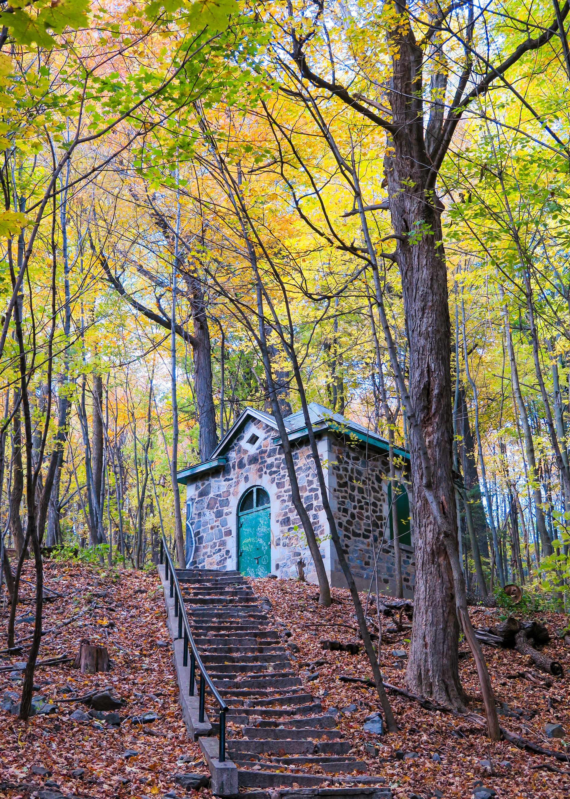 Little House in the Woods | (Montreal, Canada)