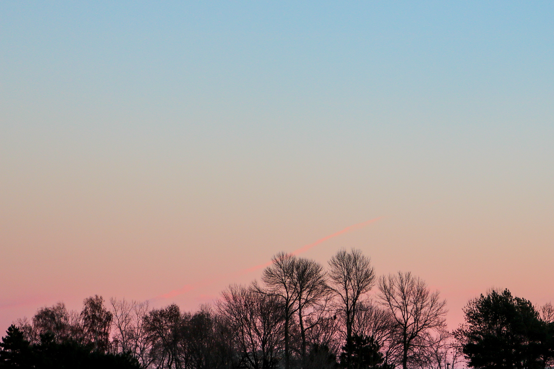 Reach For The Sky | (Montreal, Canada)