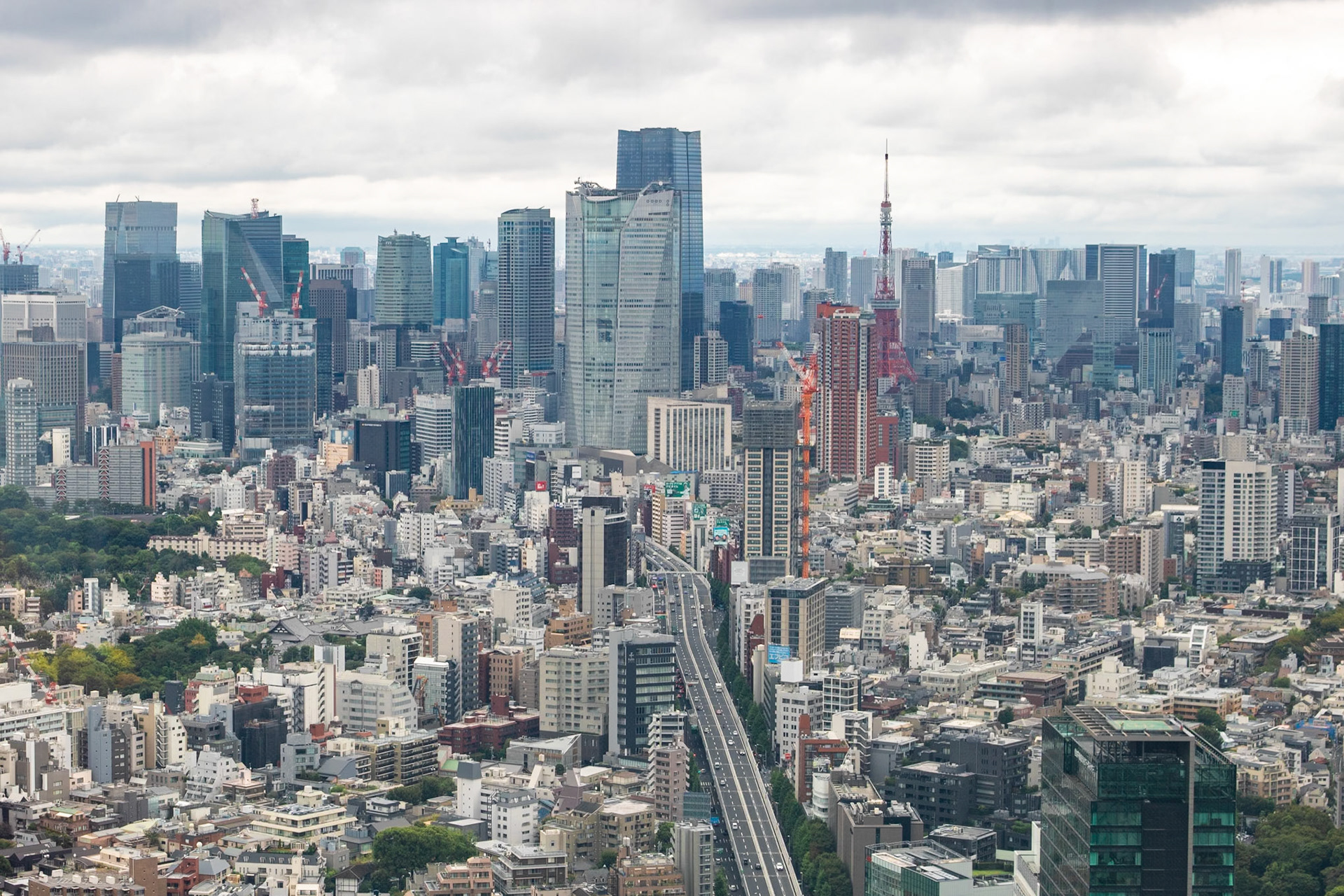 Short to Tall | (Shibuya Sky)