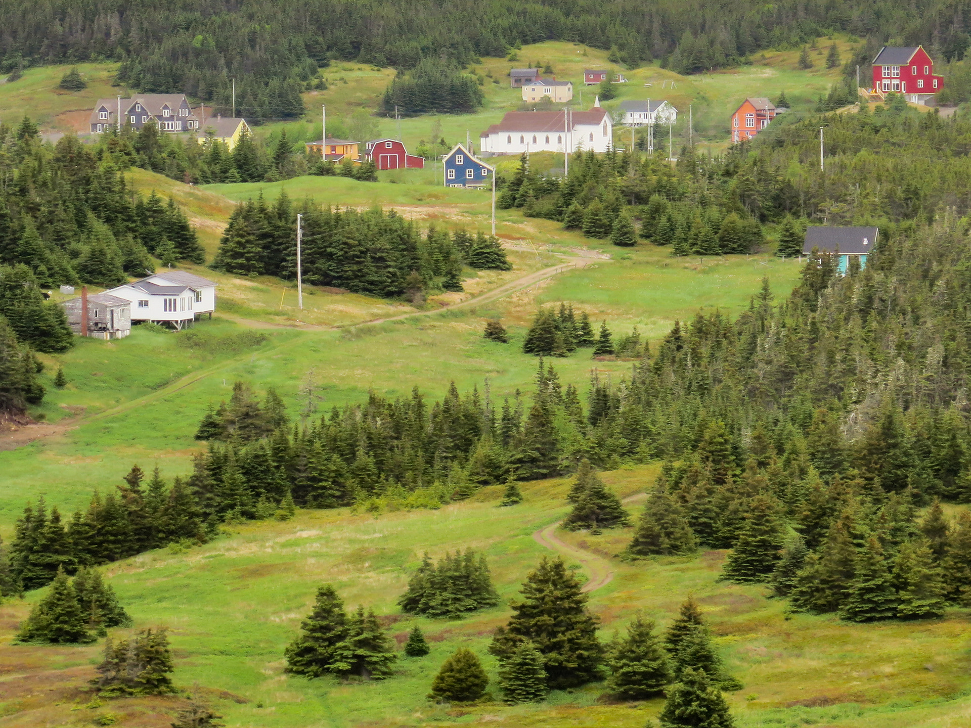 Town in the Trees | (Trinity East, Canada)