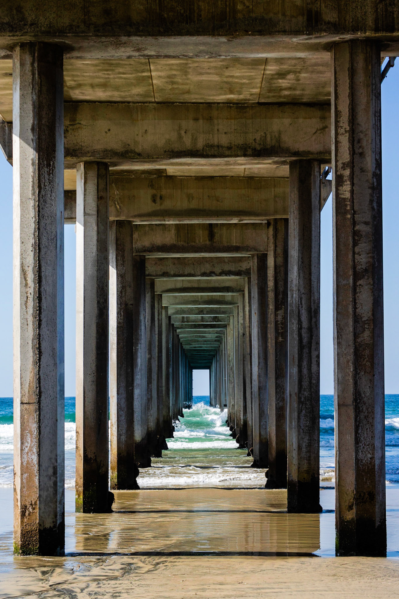 Under the Pier | (Ellen Browning Scripps Memorial Pier)